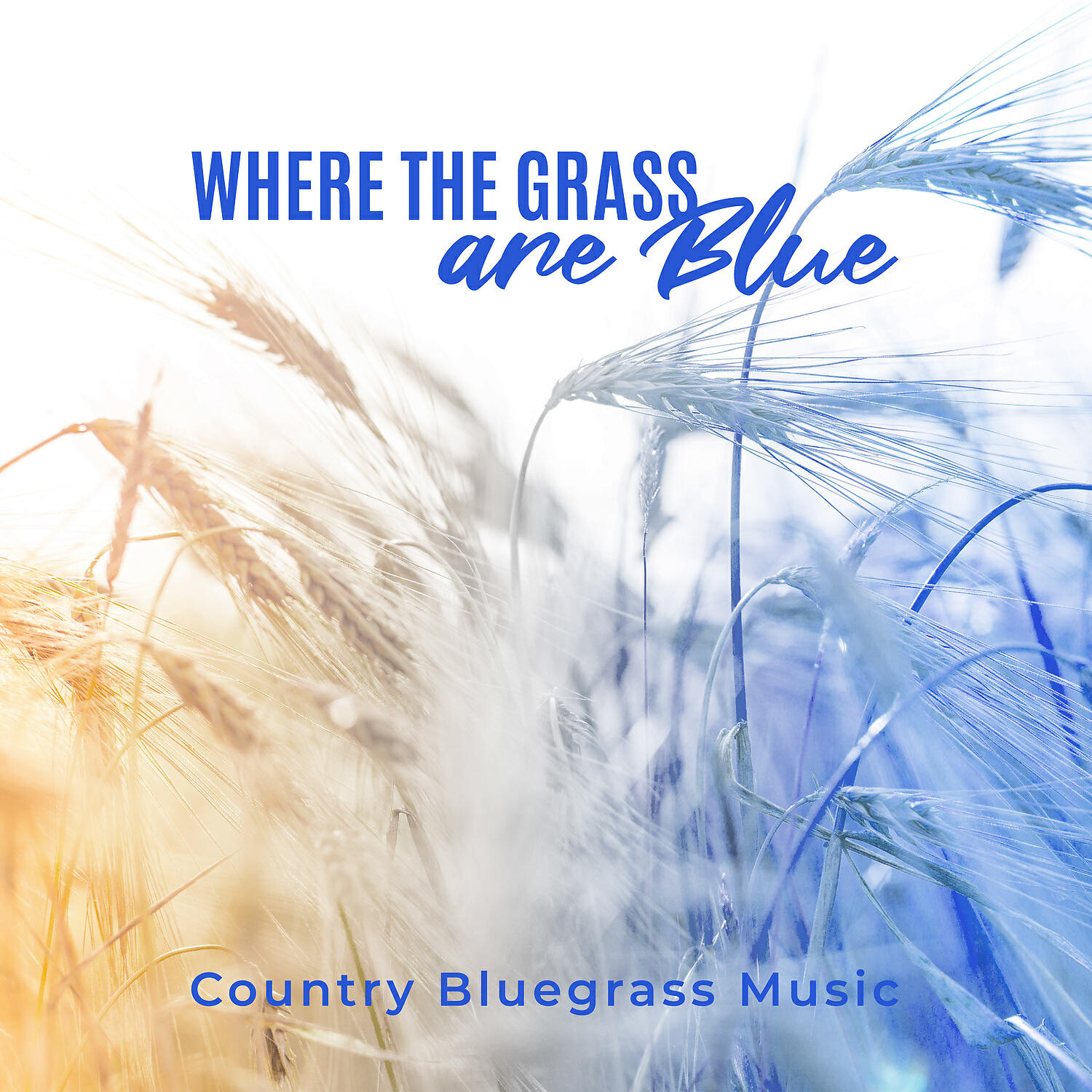 Релиз Where the Grass Are Blue - Country Bluegrass Music