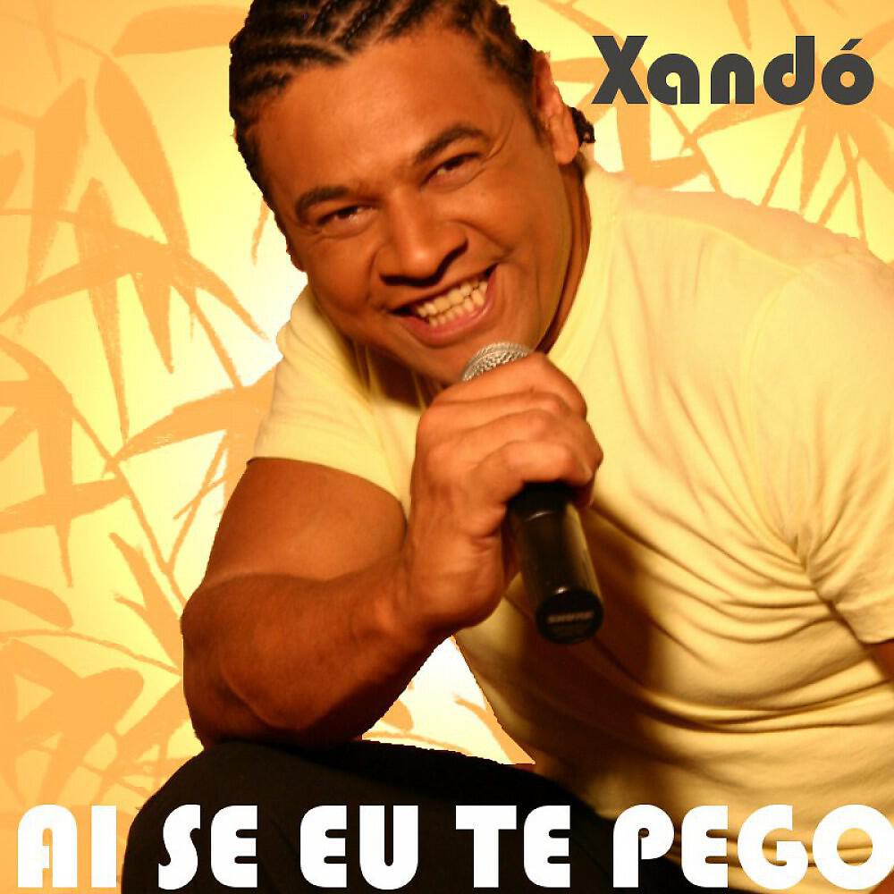 Релиз Ai Se Eu Te Pego