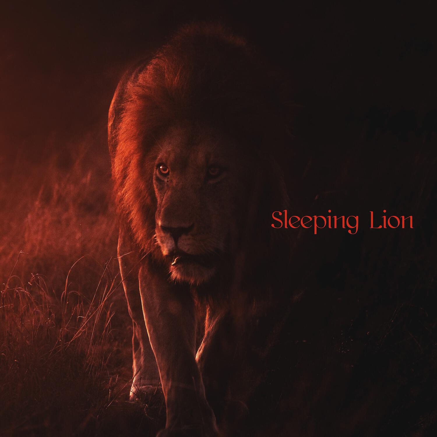 Релиз Sleeping Lion