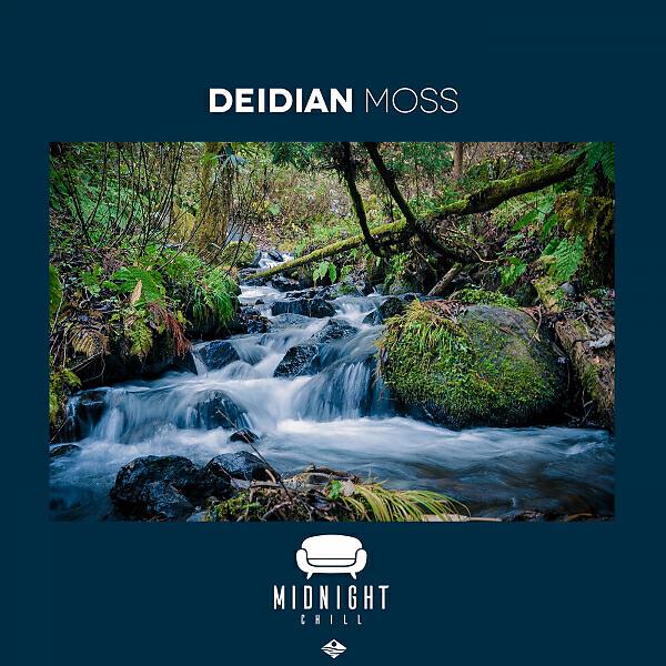Релиз Moss