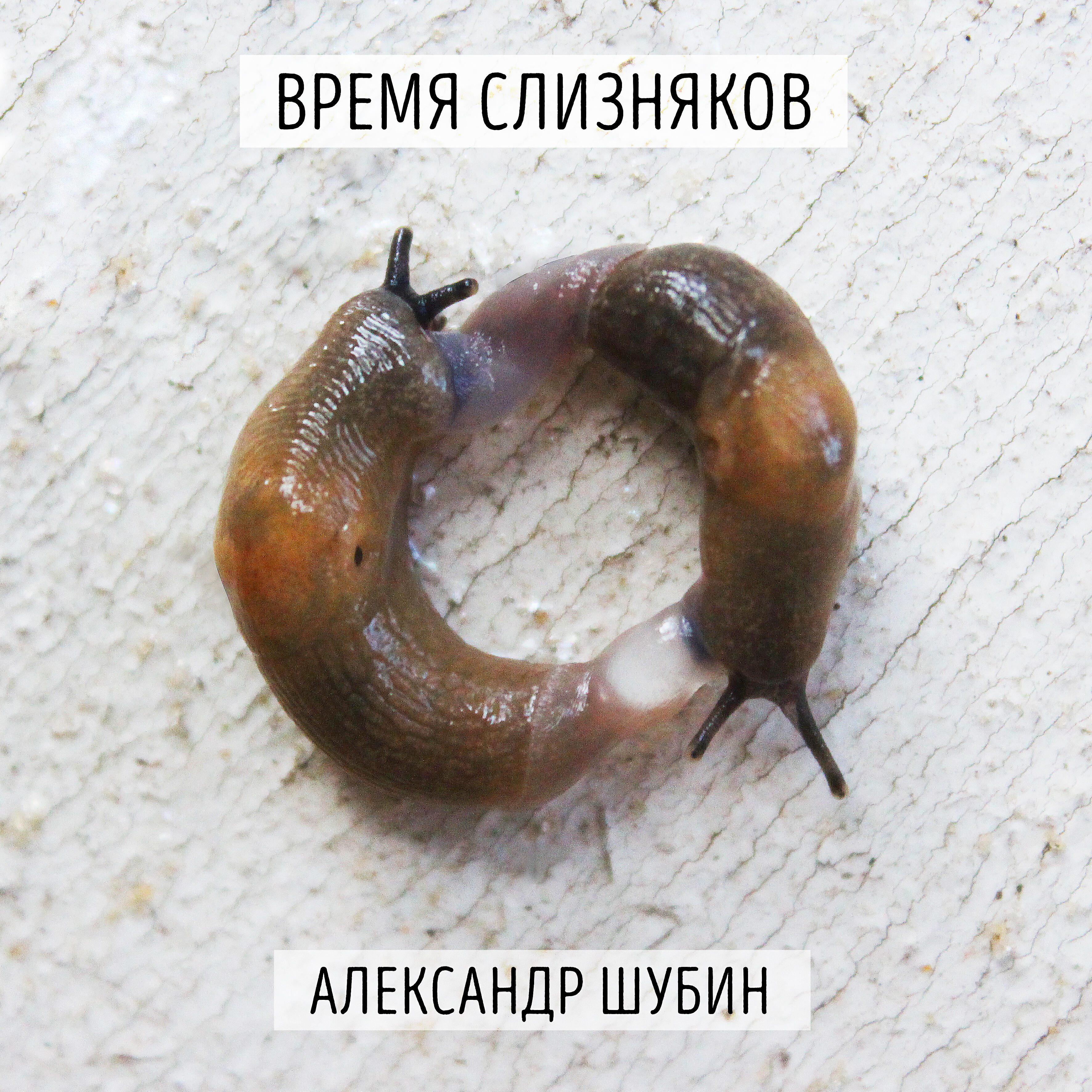 Релиз Время слизняков