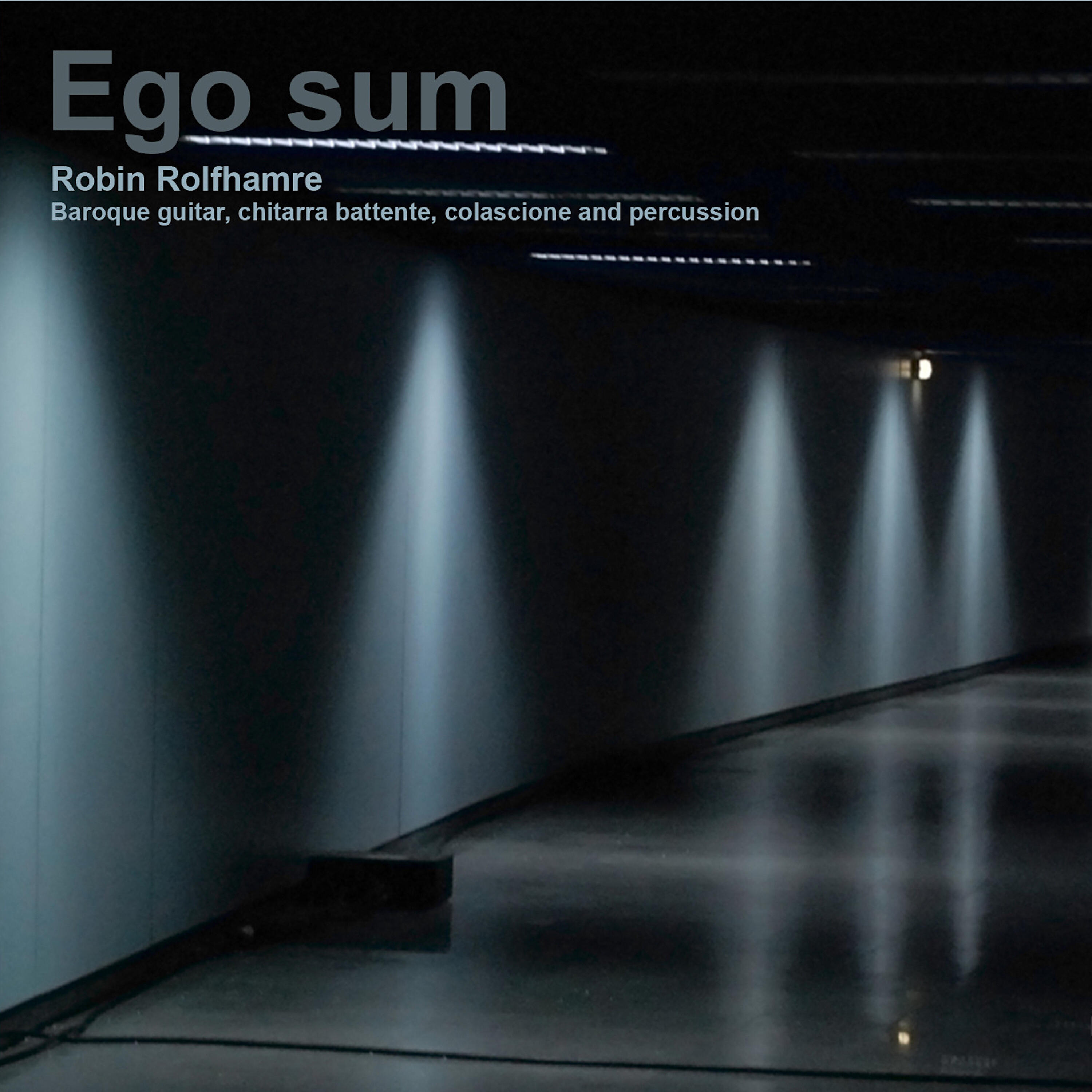 Релиз Ego Sum