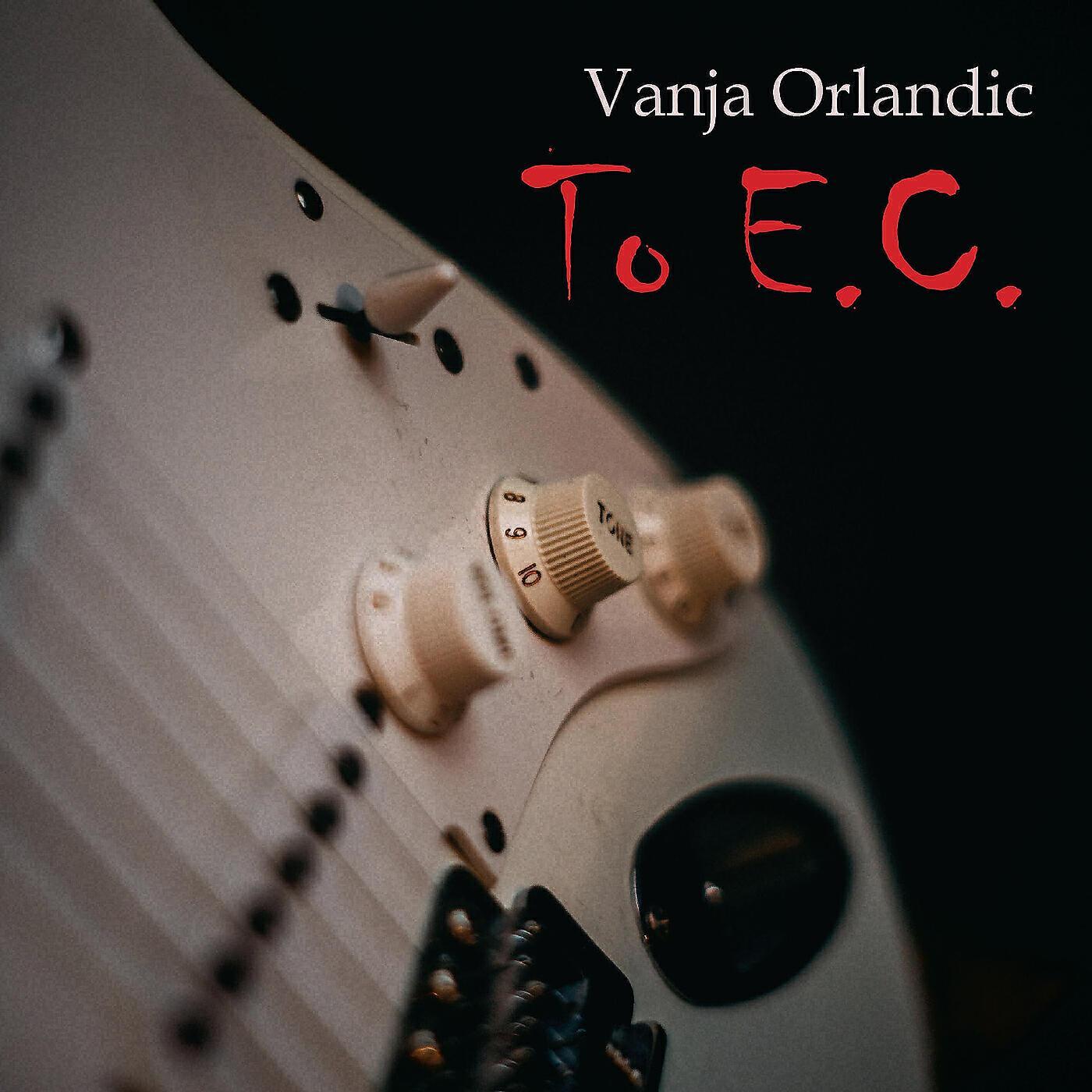 Vanja Orlandic