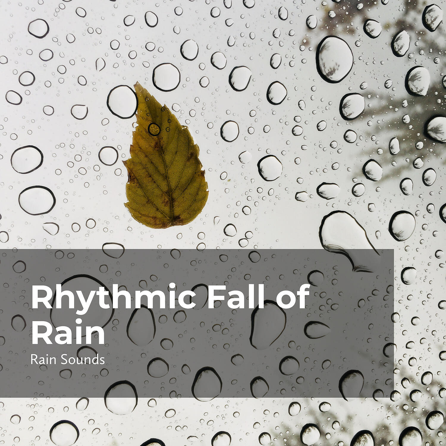 Релиз Rhythmic Fall of Rain