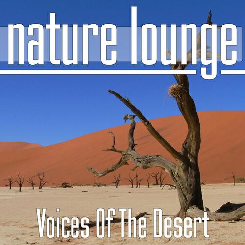 Релиз Voices Of The Desert