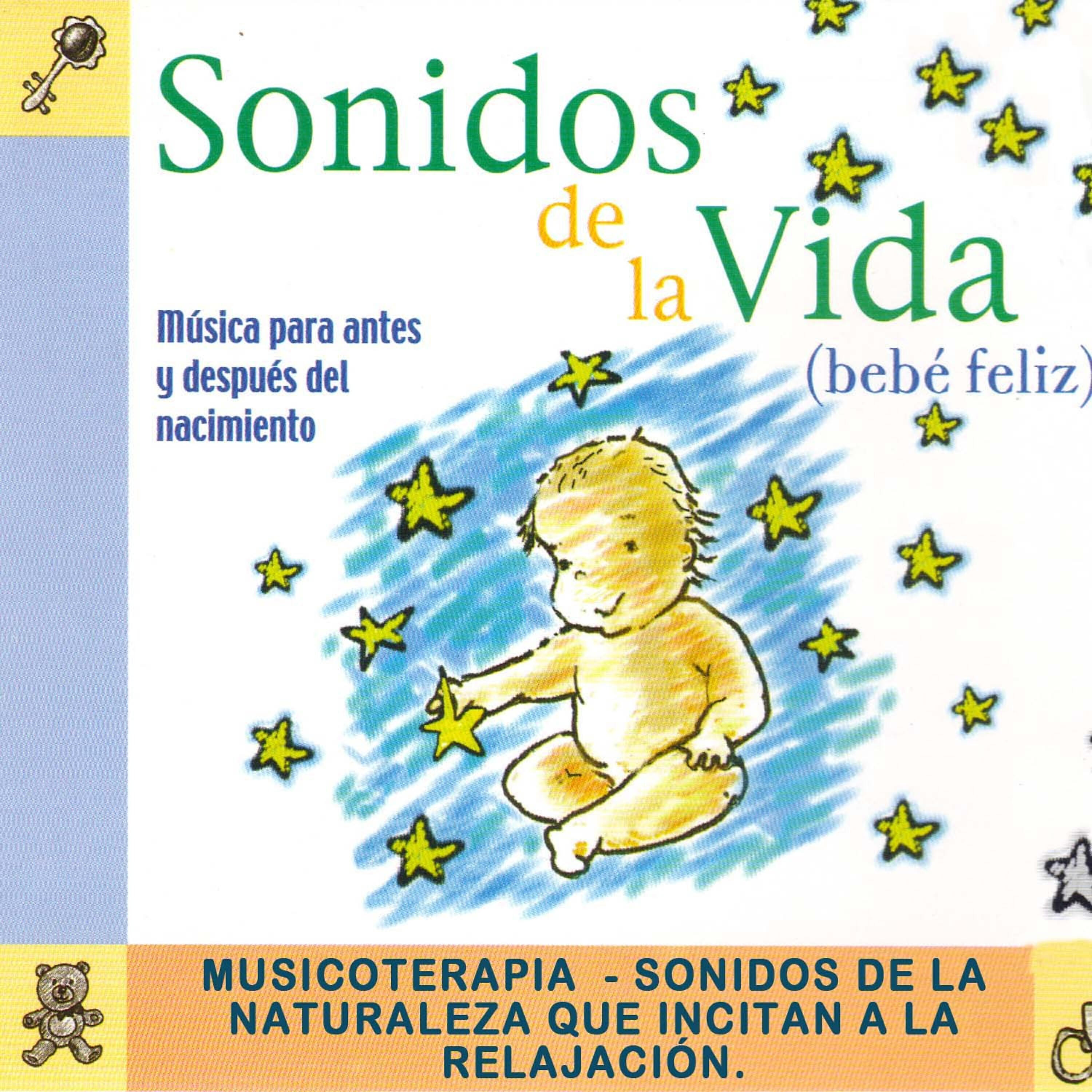 Релиз Sonidos de la Vida - Musica para Bebes