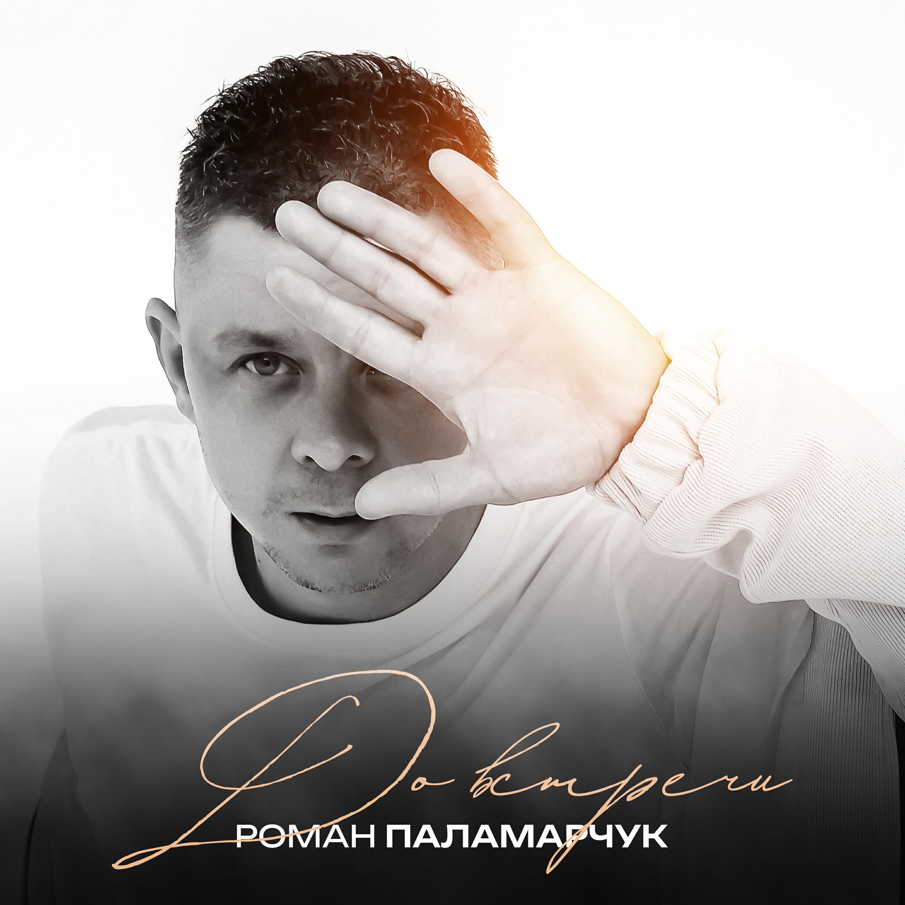 Постер альбома До встречи