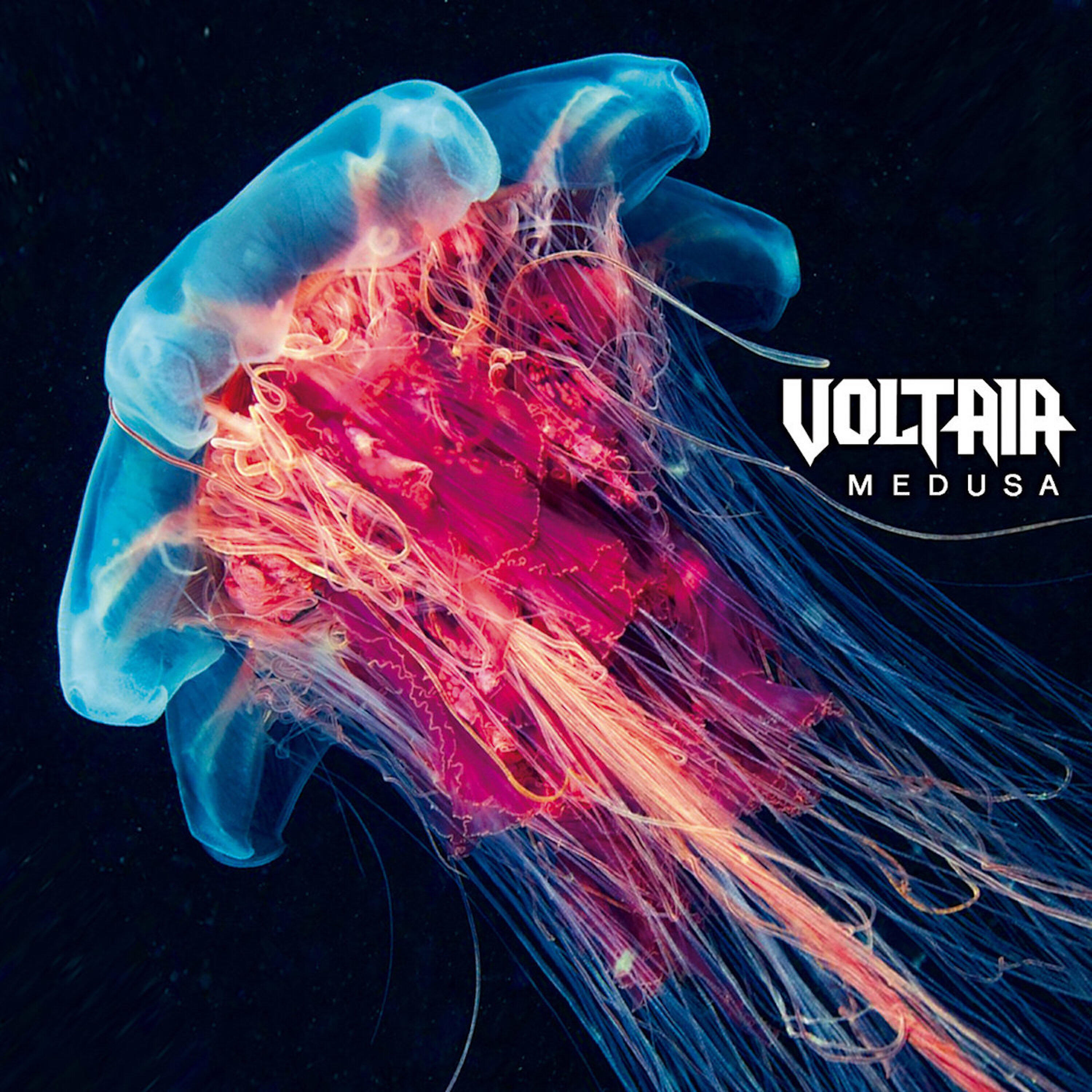 Релиз Medusa