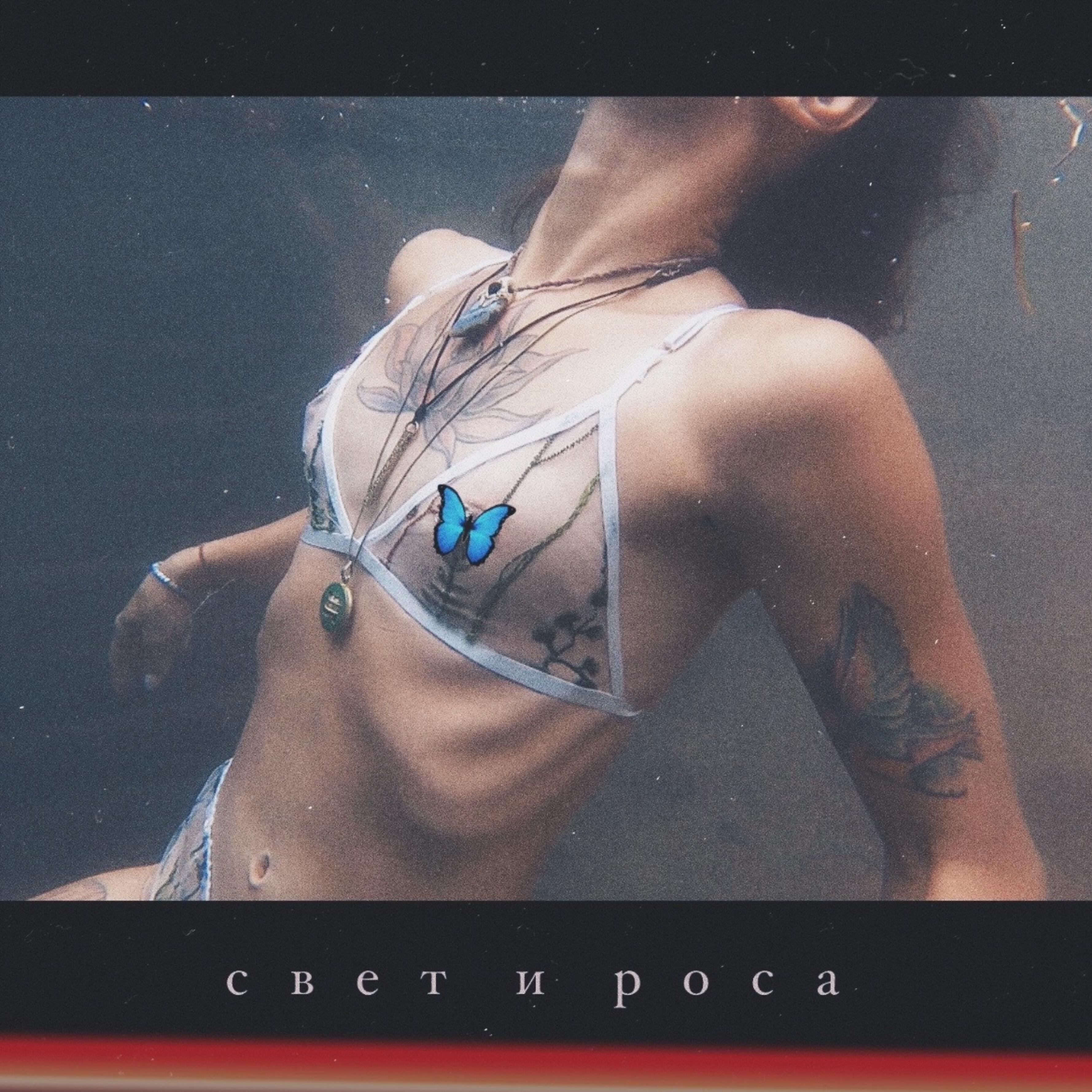 Релиз Свет и роса