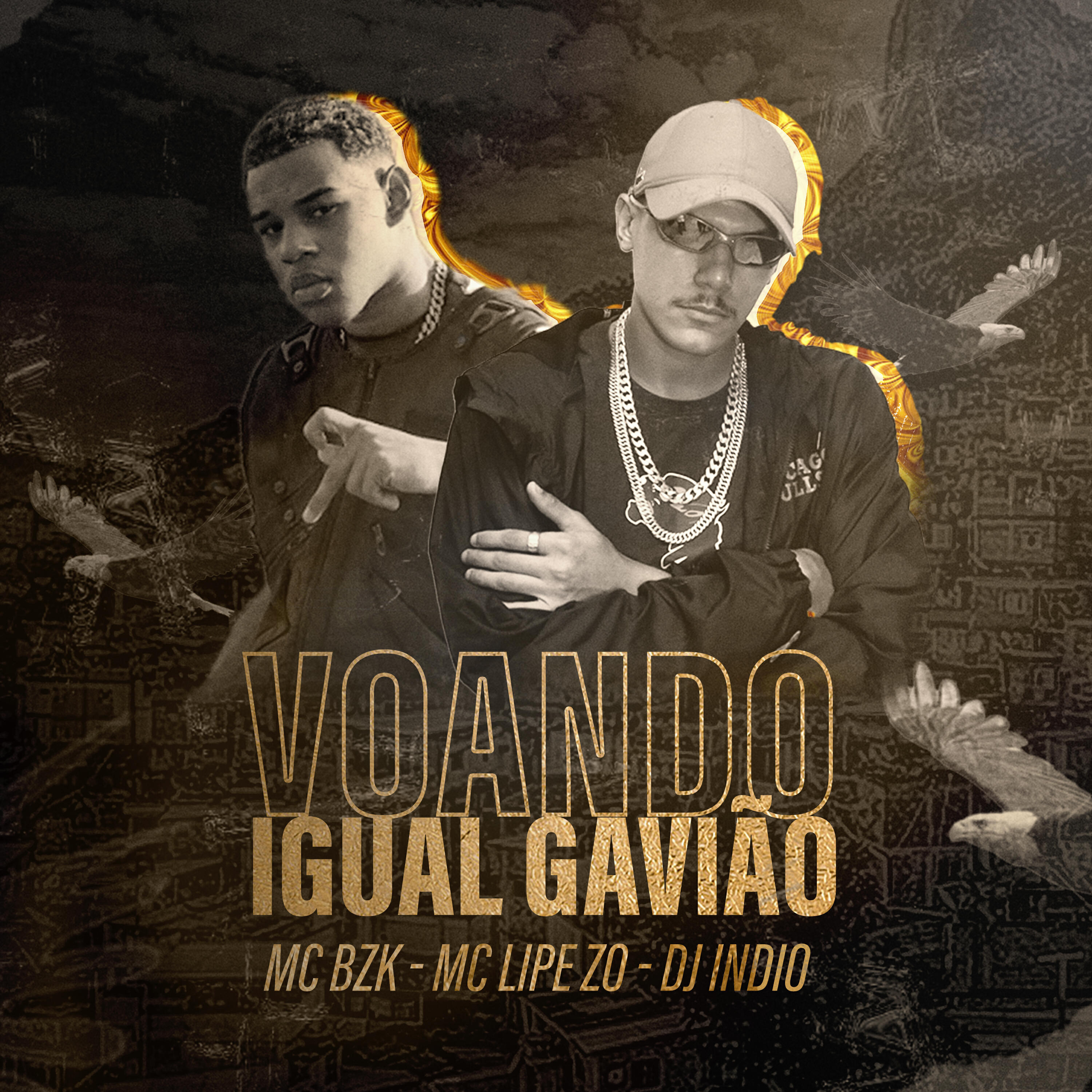 Релиз Voando Igual Gavião