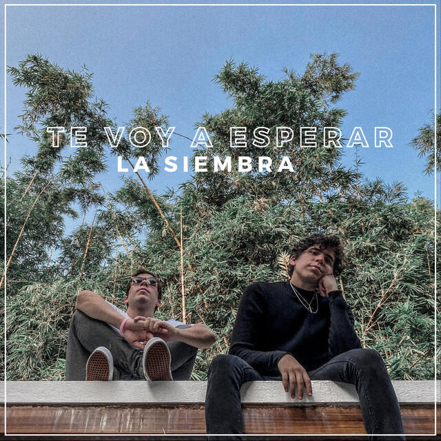 Релиз Te Voy a Esperar