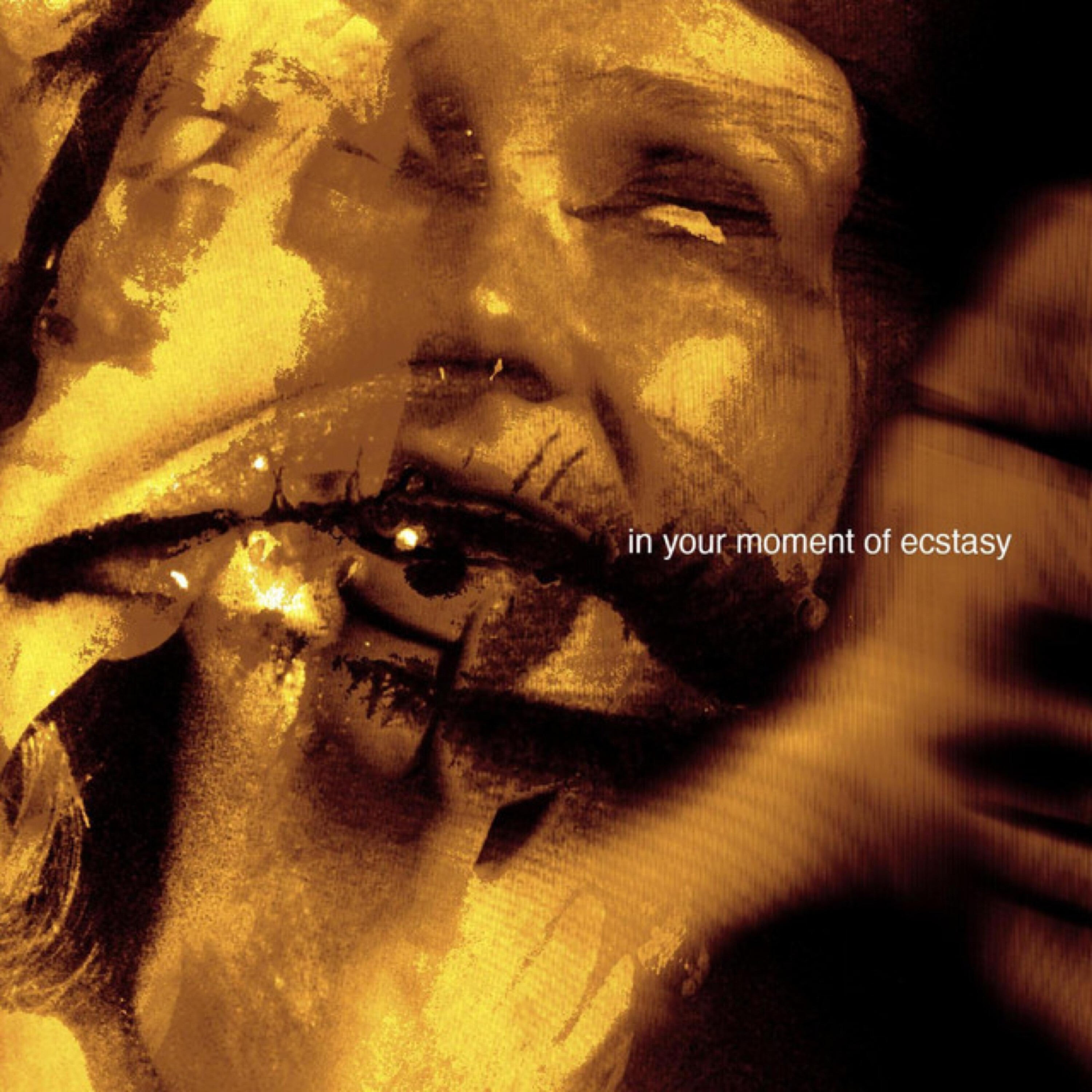 Релиз in your moment of ecstasy