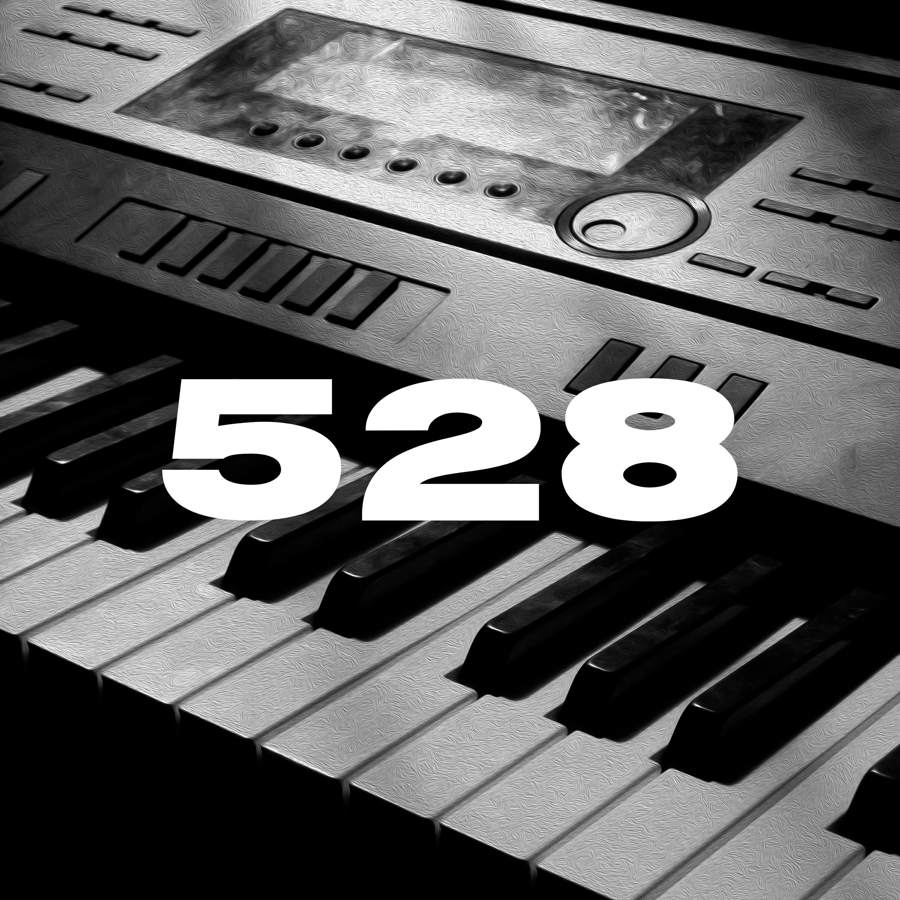 Постер альбома 528