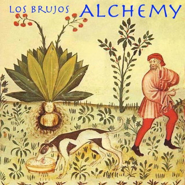 Релиз Alchemy