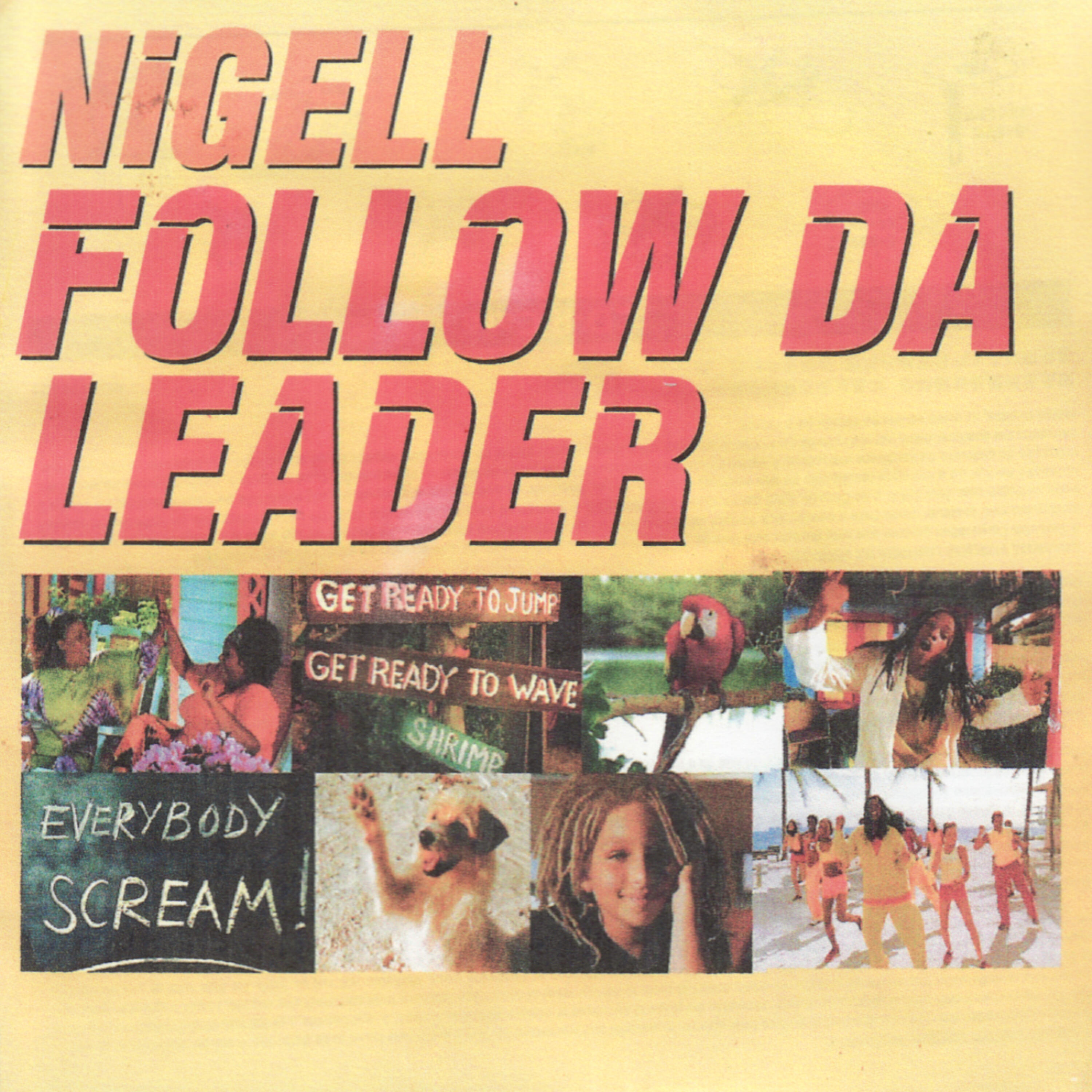 Релиз Follow Da Leader