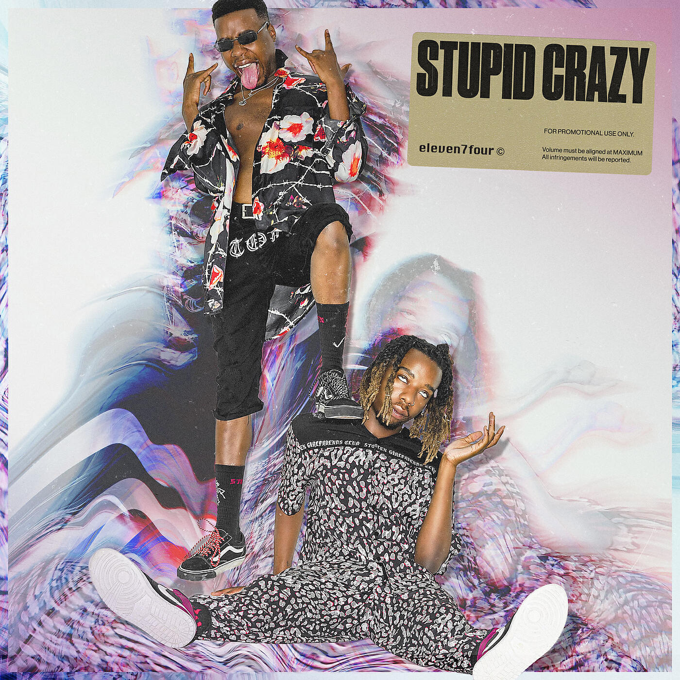 Релиз Stupid Crazy