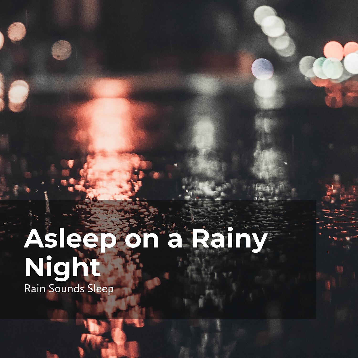 Релиз Asleep on a Rainy Night