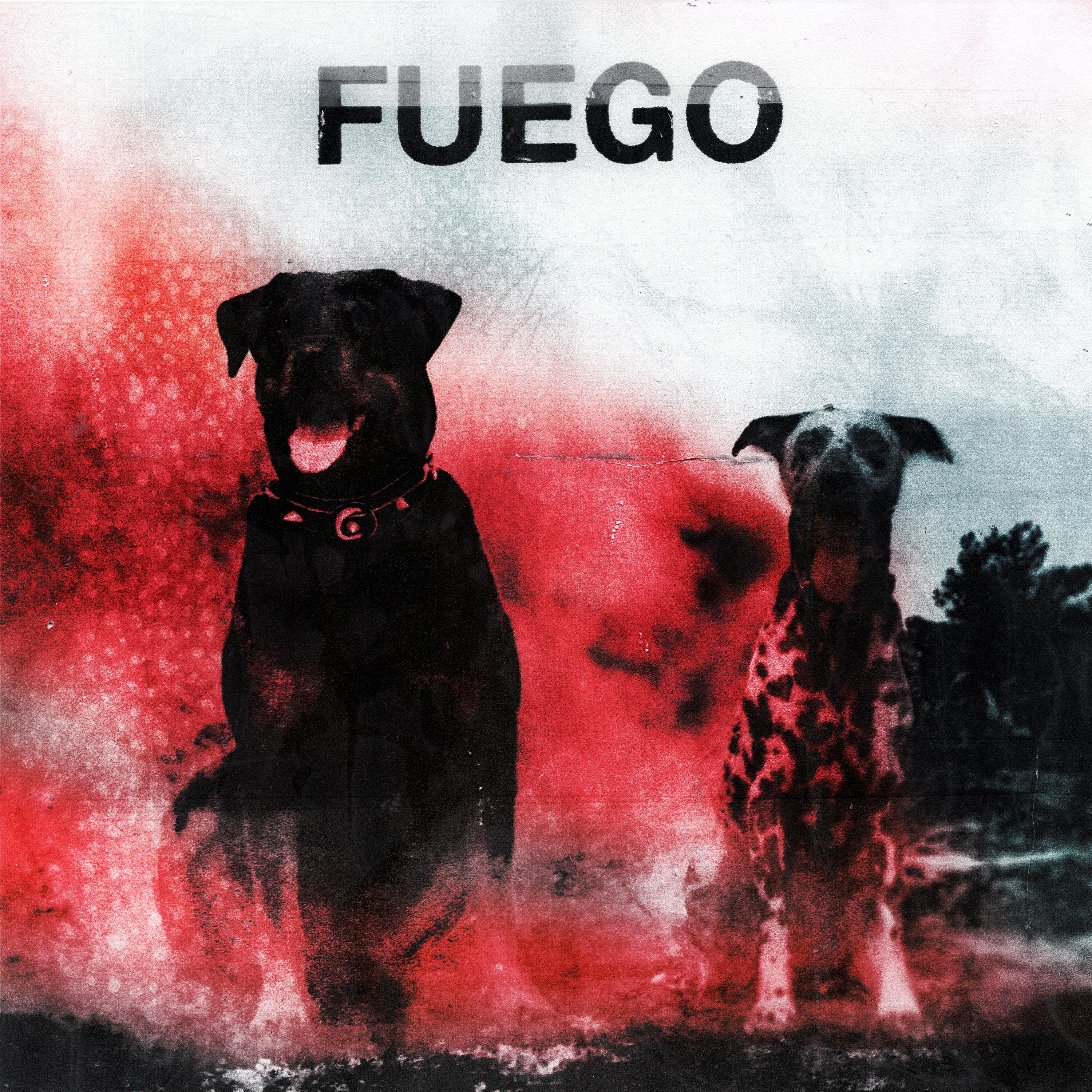 Релиз FUEGO