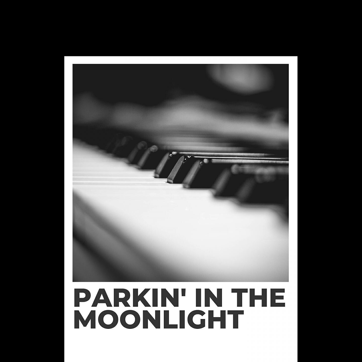 Релиз Parkin' In the Moonlight