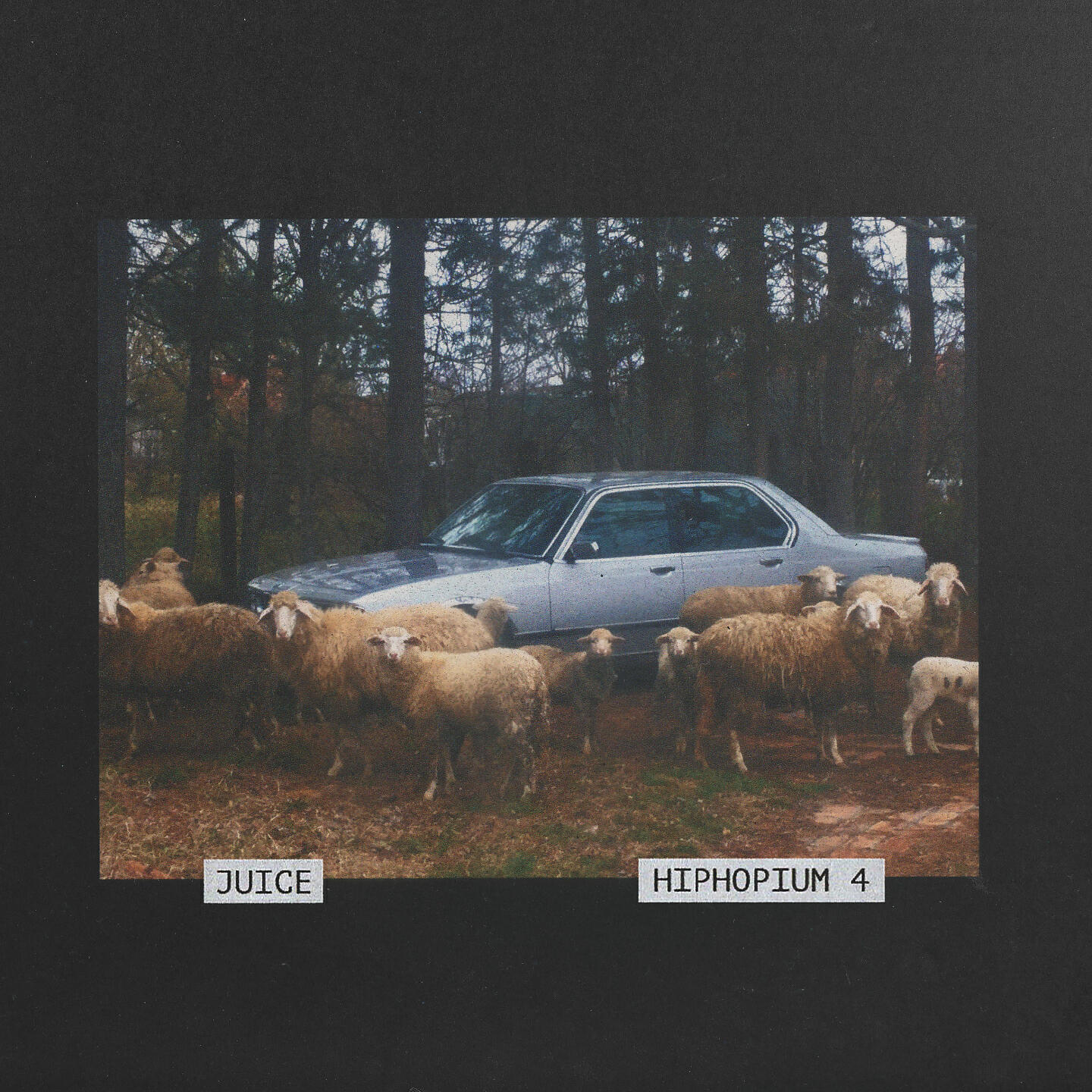 Juice, THCF - Oko nas