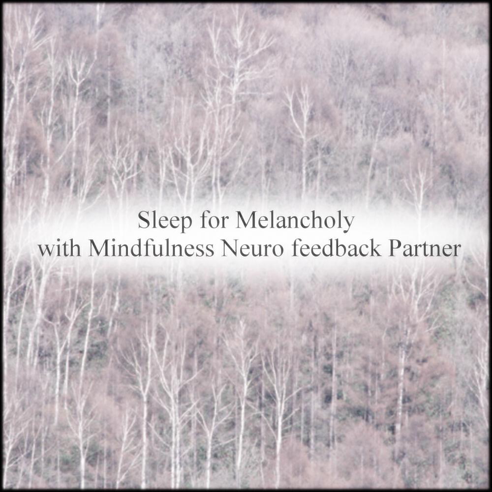 Релиз Sleep For Melancholy