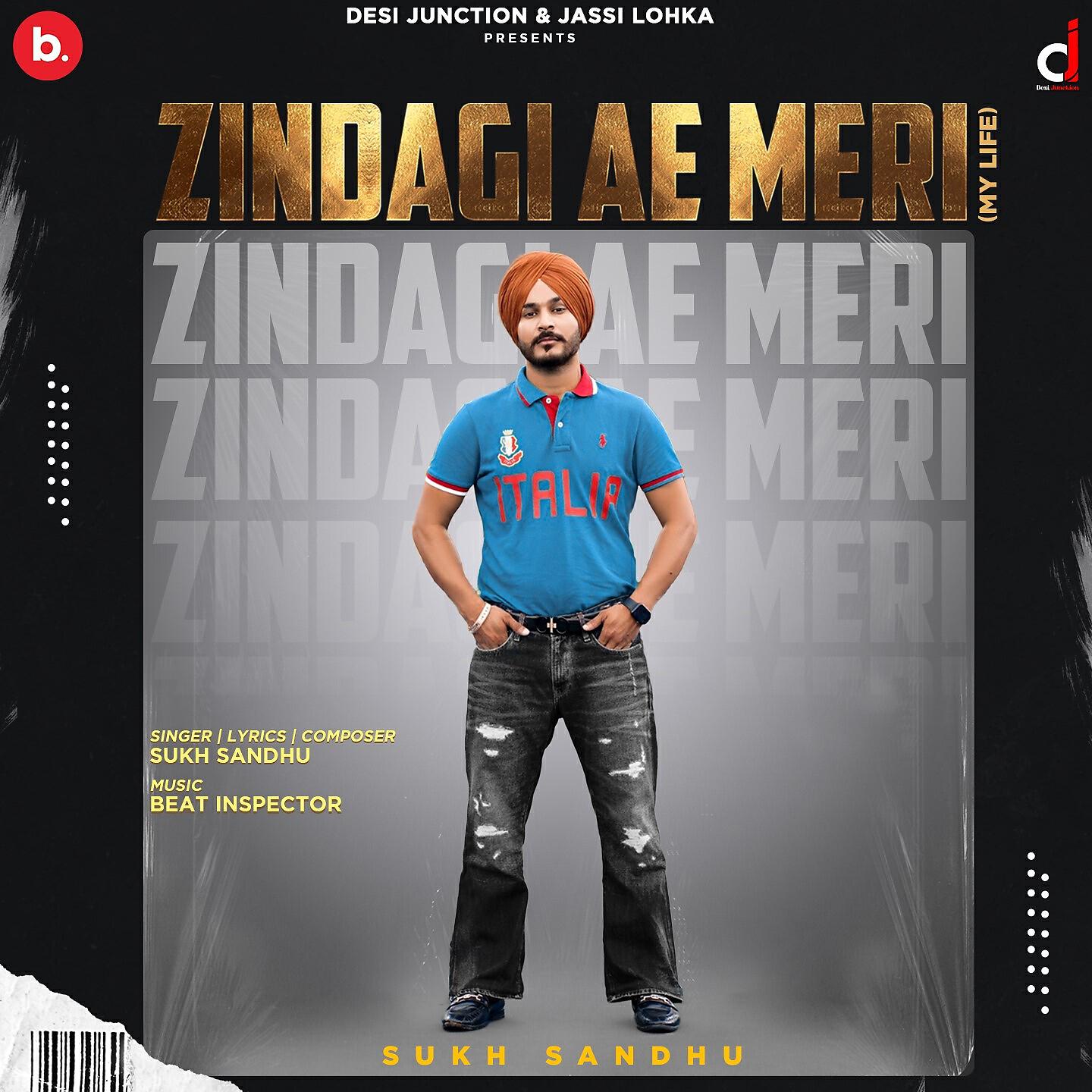 Релиз Zindagi Ae Meri