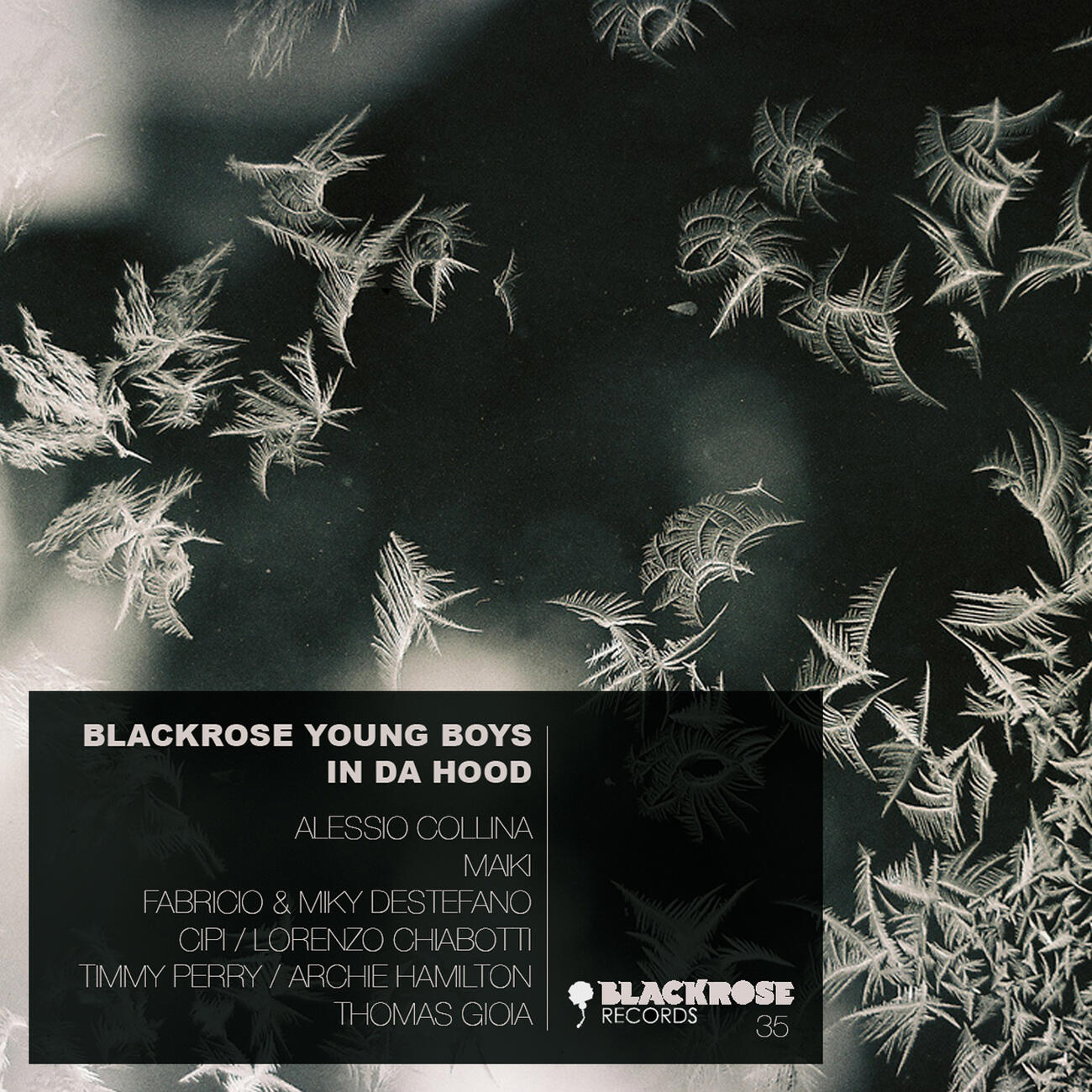 Релиз Blackrose Young Boys In Da Hood