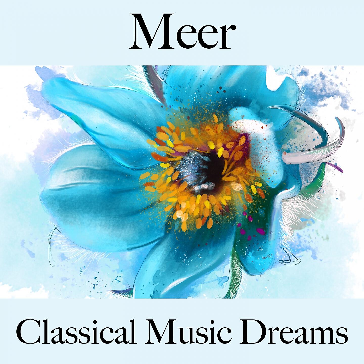 Релиз Meer: Classical Music Dreams - Die Beste Musik Zum Entspannen