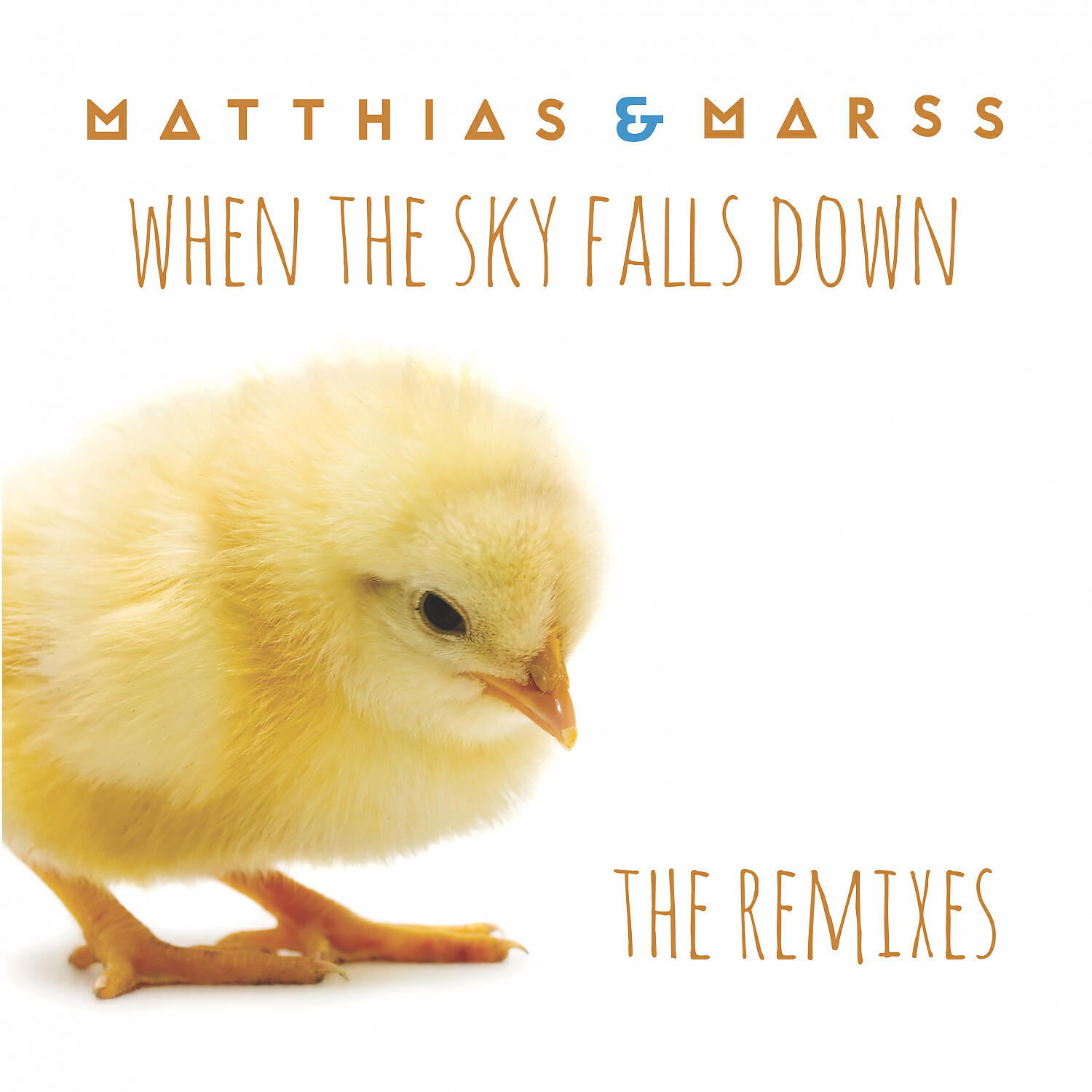 Релиз When The Sky Falls Down (The Remixes)