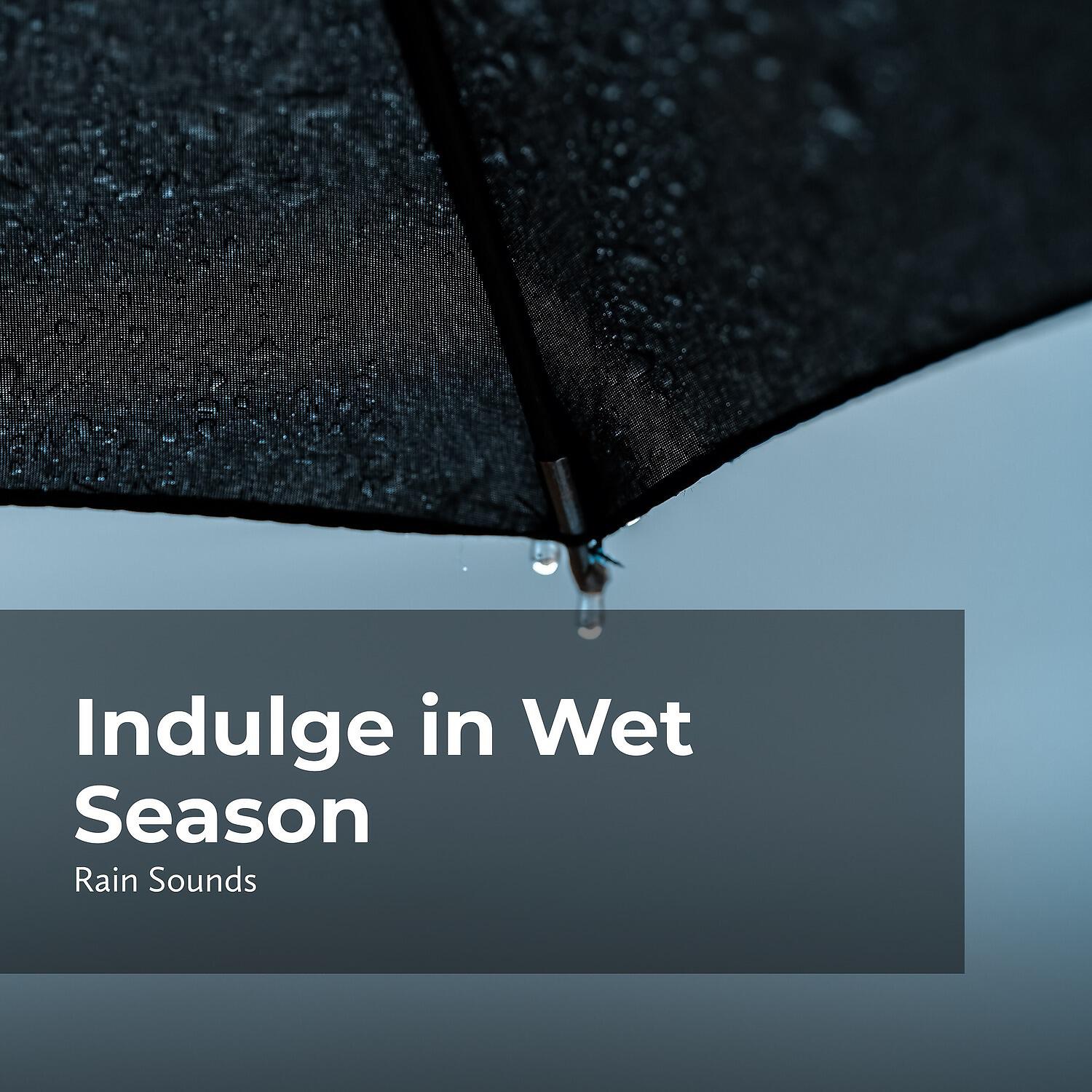 Релиз Indulge in Wet Season
