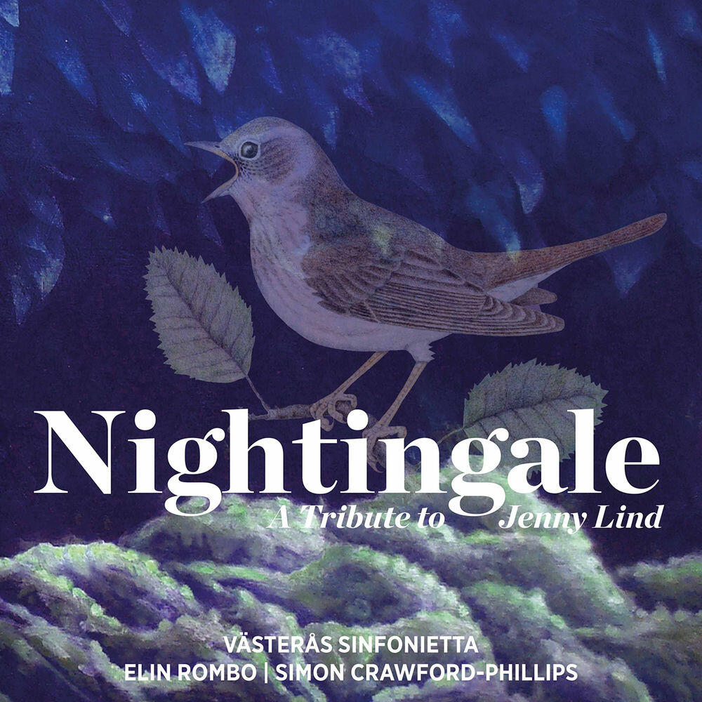 Релиз Nightingale