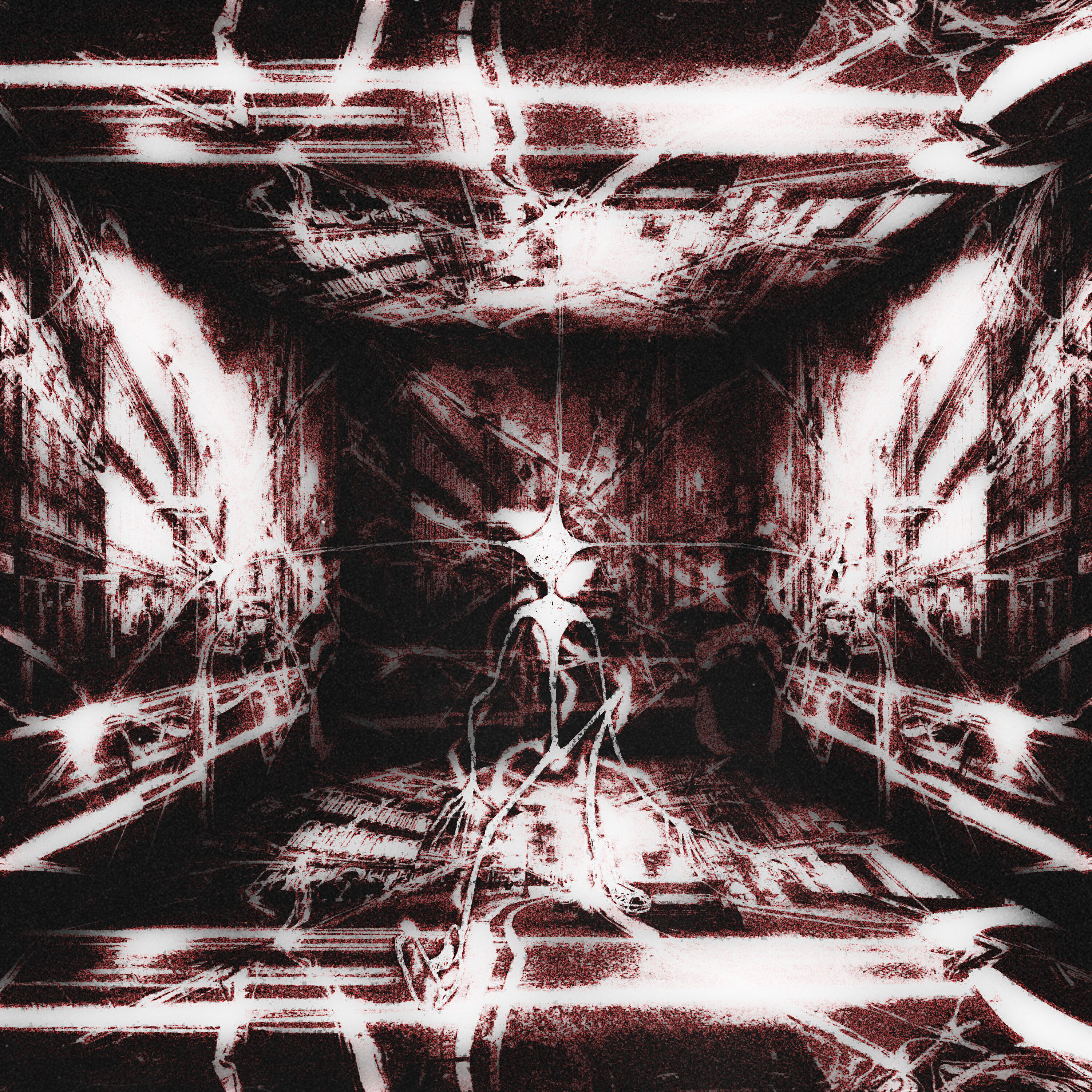 Ds_kosmos