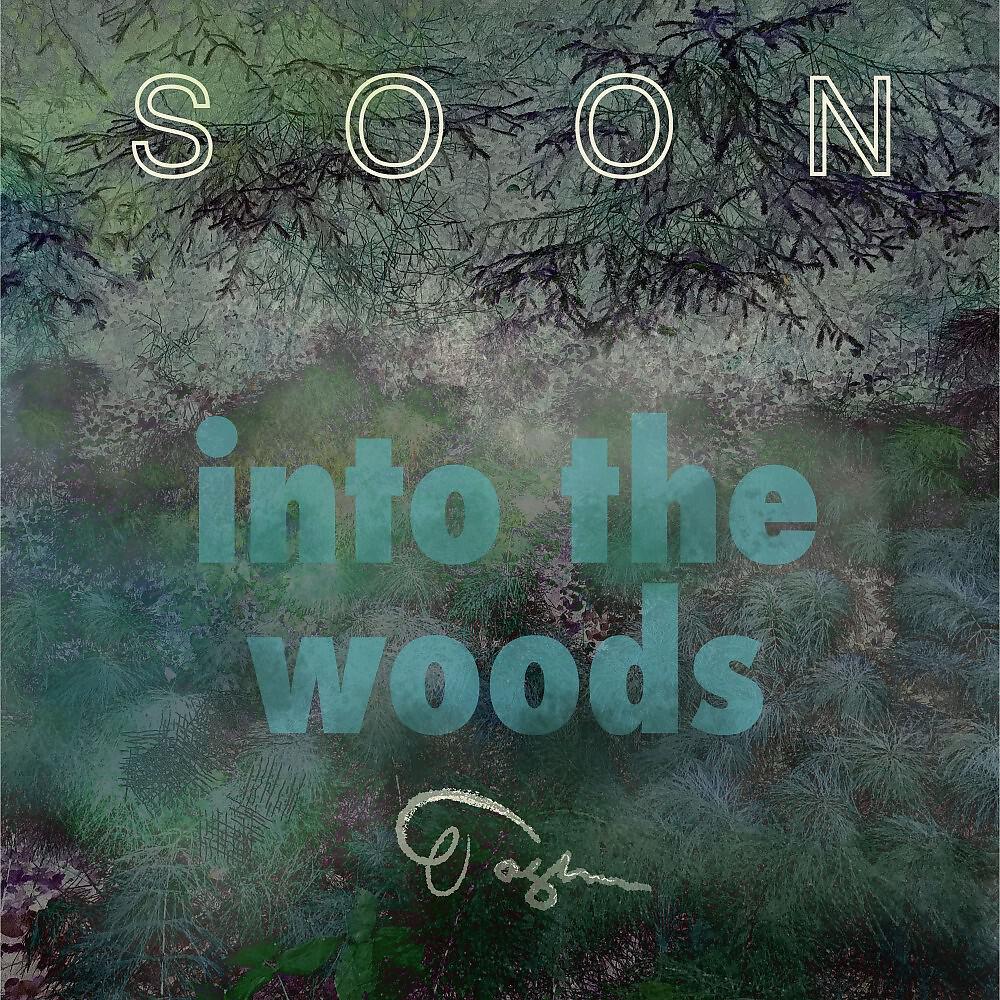 Релиз Soon: Into the Woods