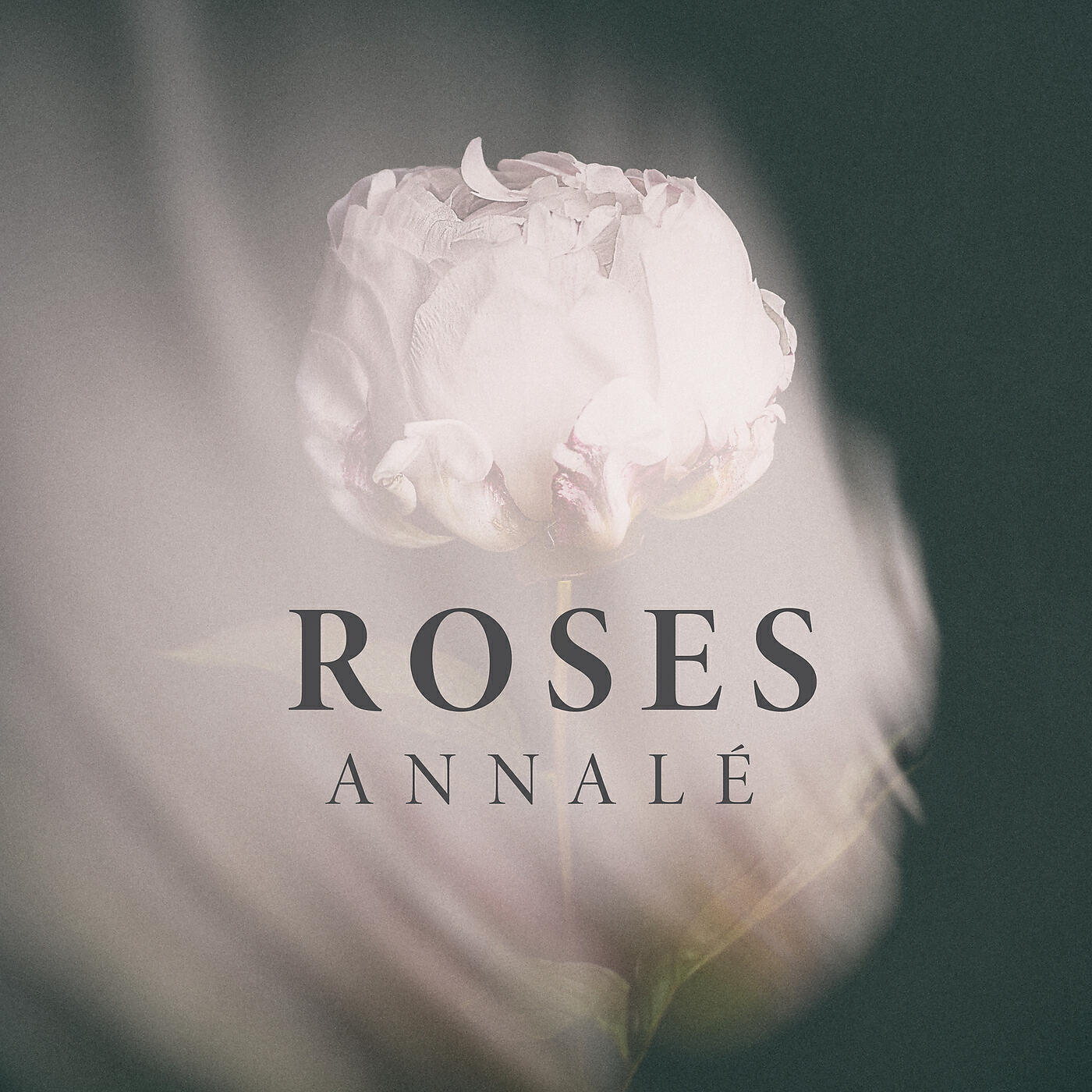 Релиз Roses