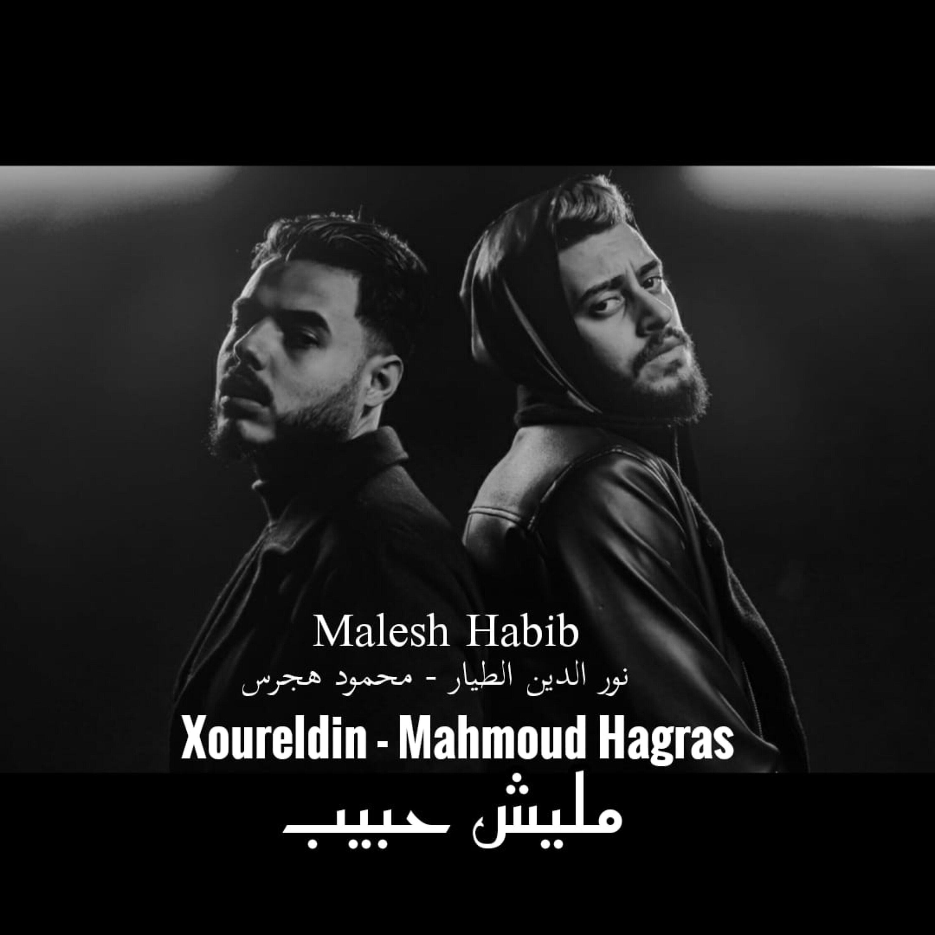 Релиз Malesh Habib