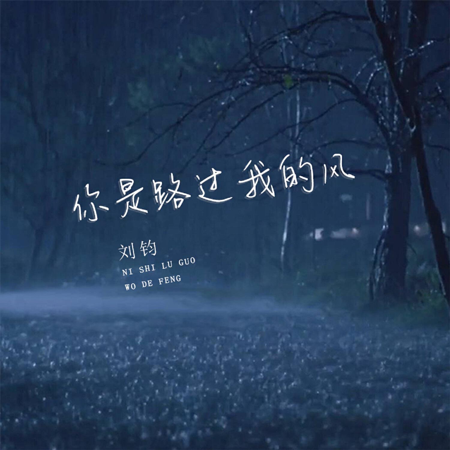 Релиз 你是路过我的风