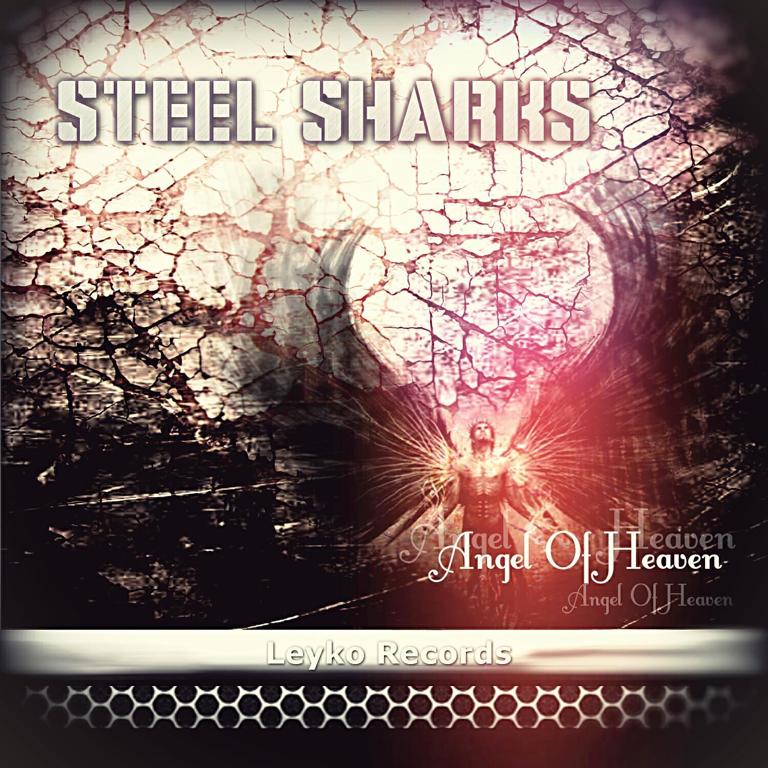 Steel Shadows