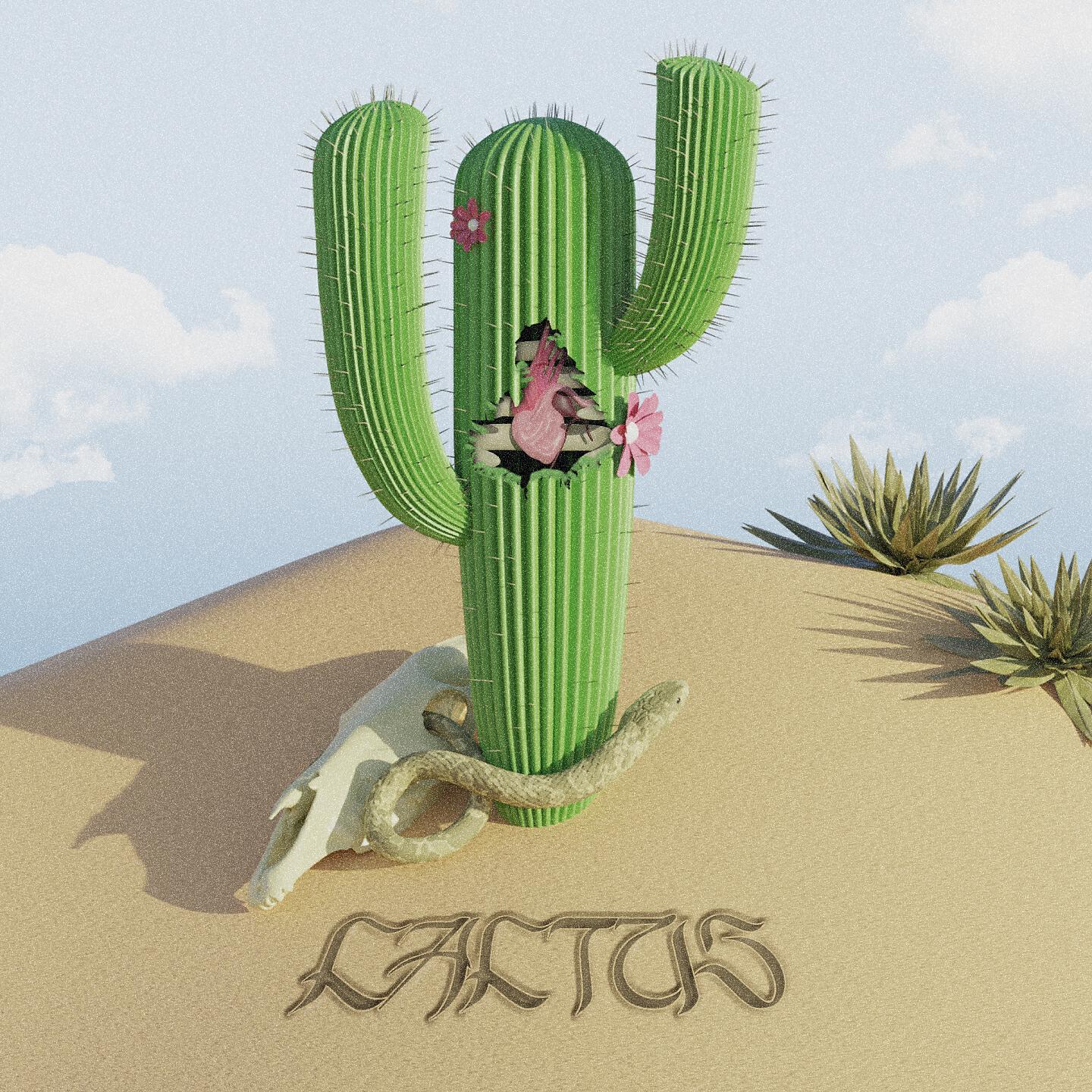 Релиз Cactus