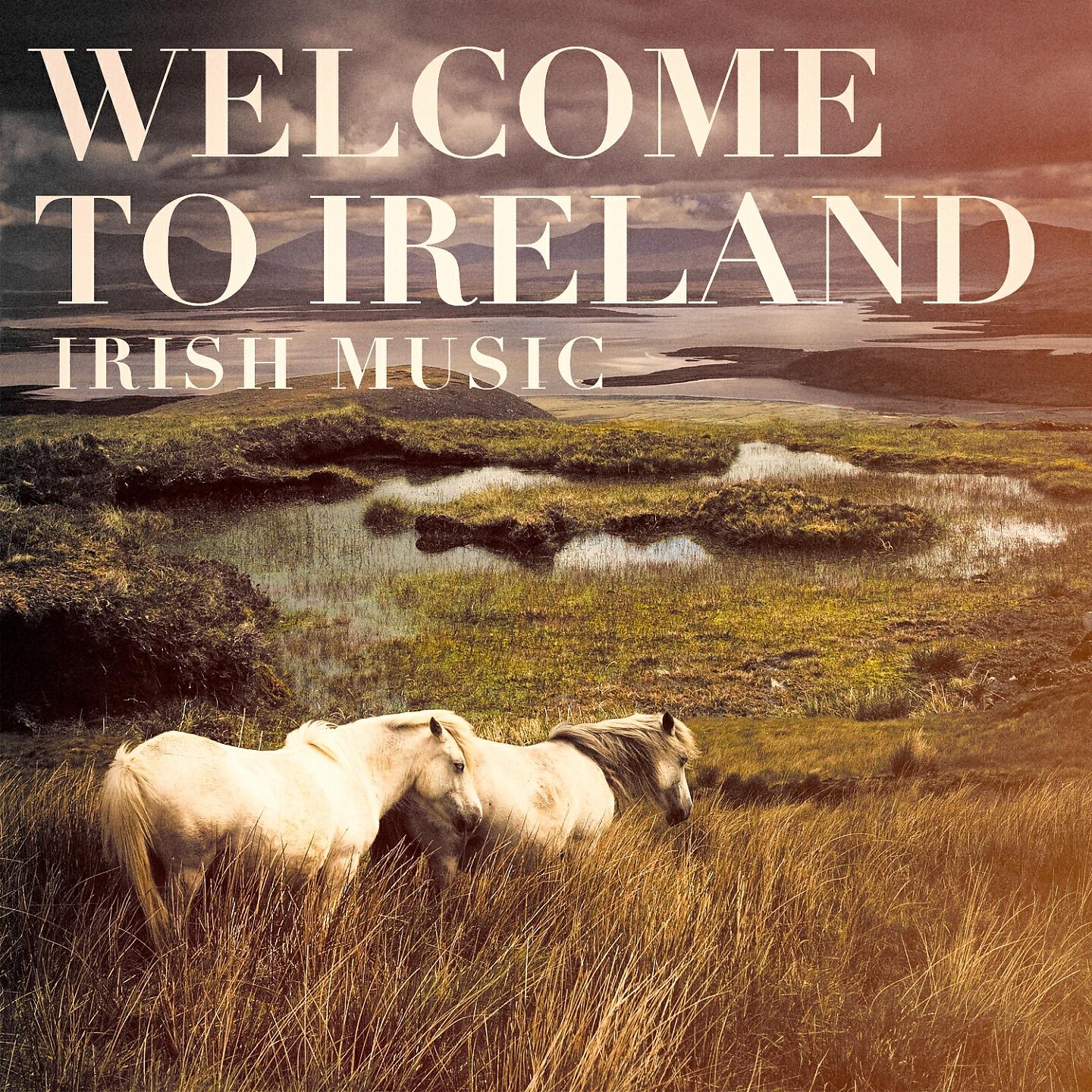 Irish Music Players