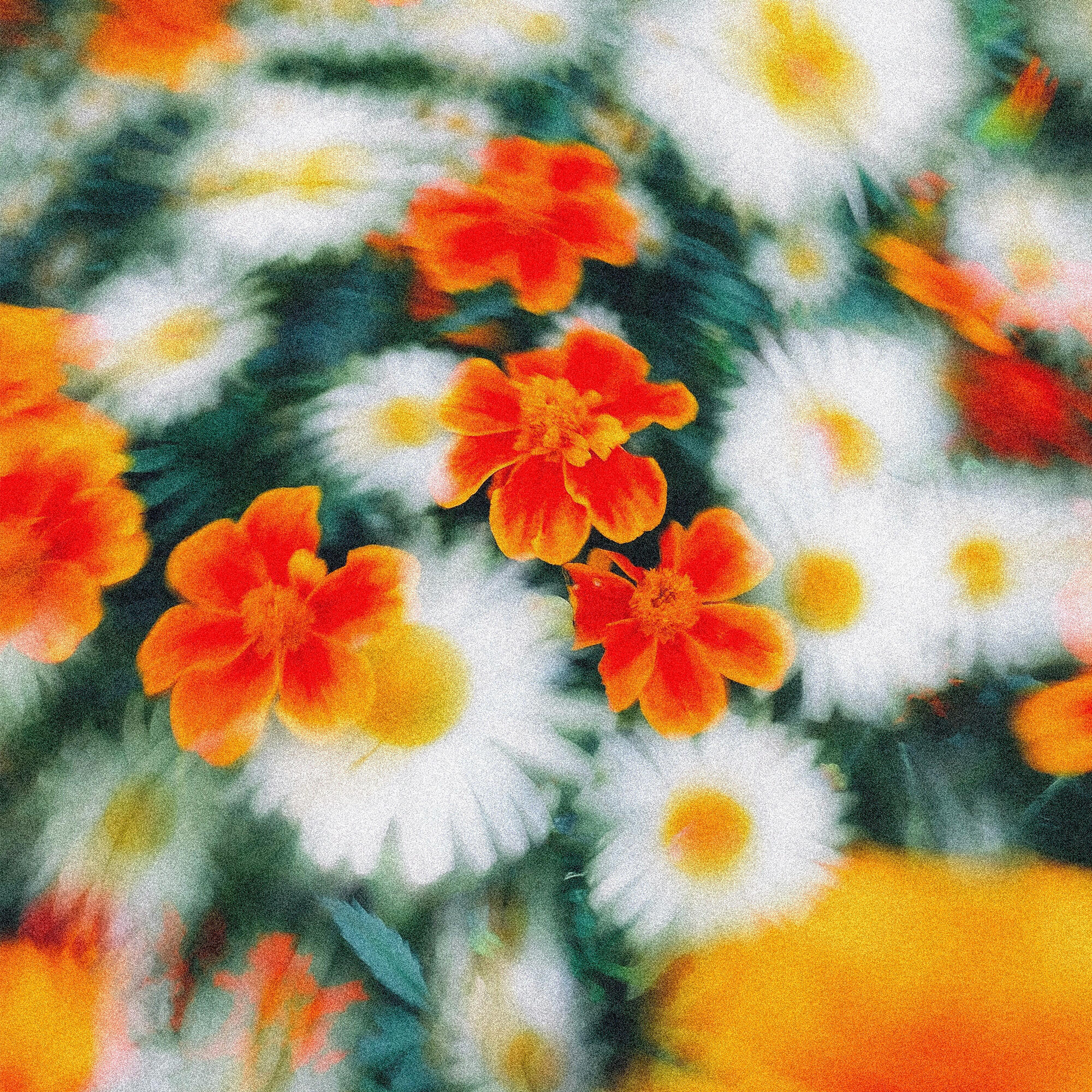 Релиз Anemoia