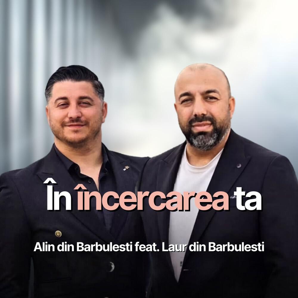 Alin din Barbulesti