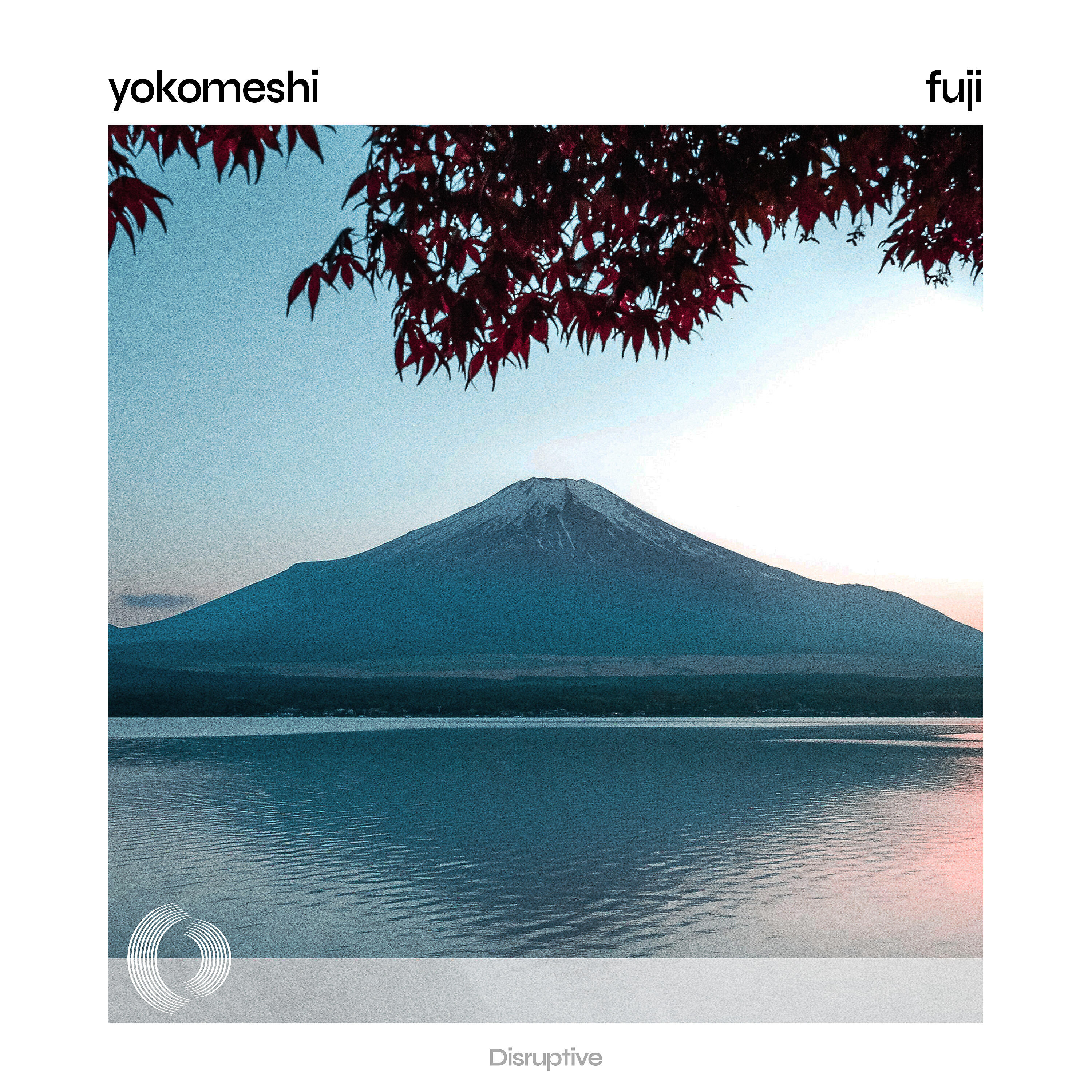 Релиз Fuji