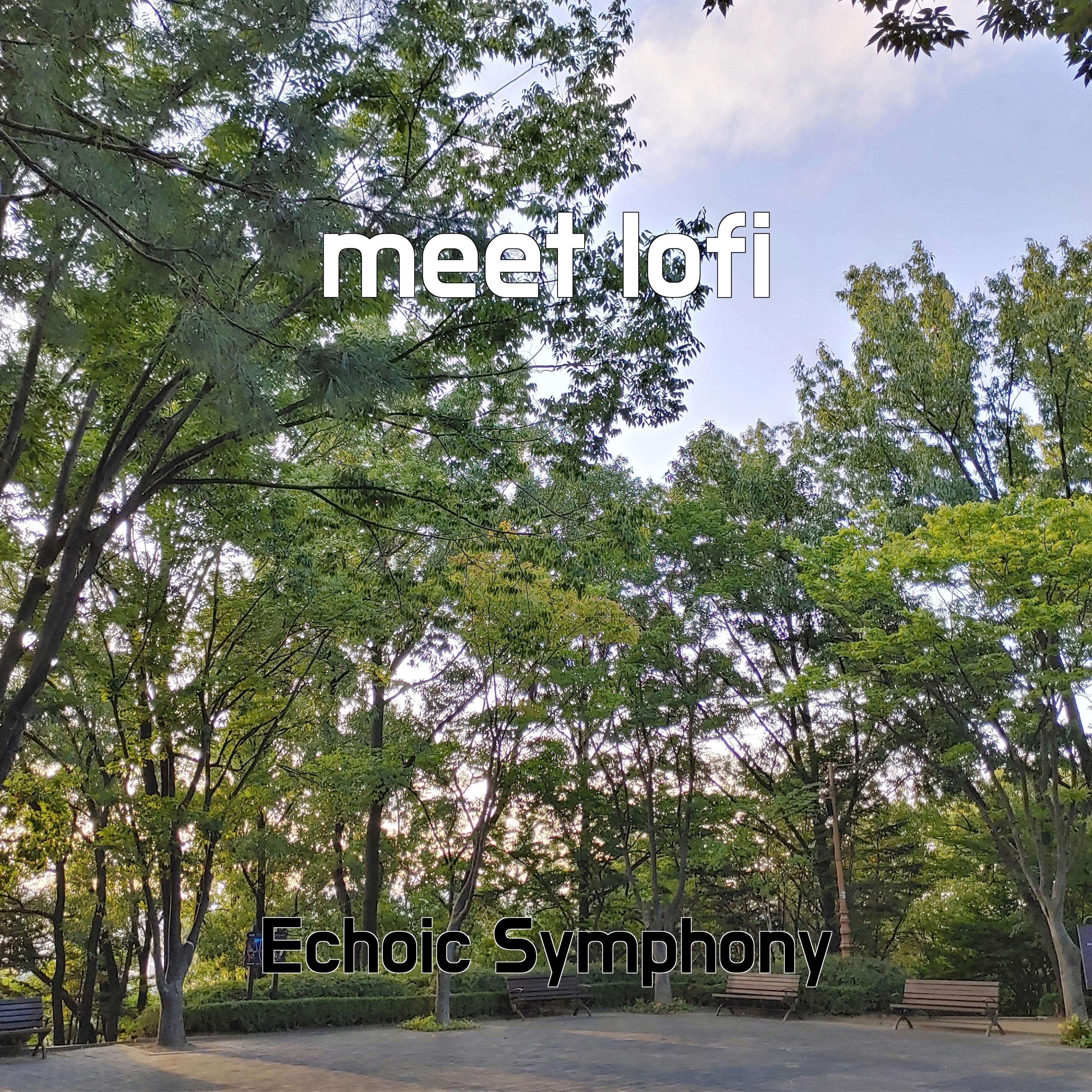Релиз meet lofi