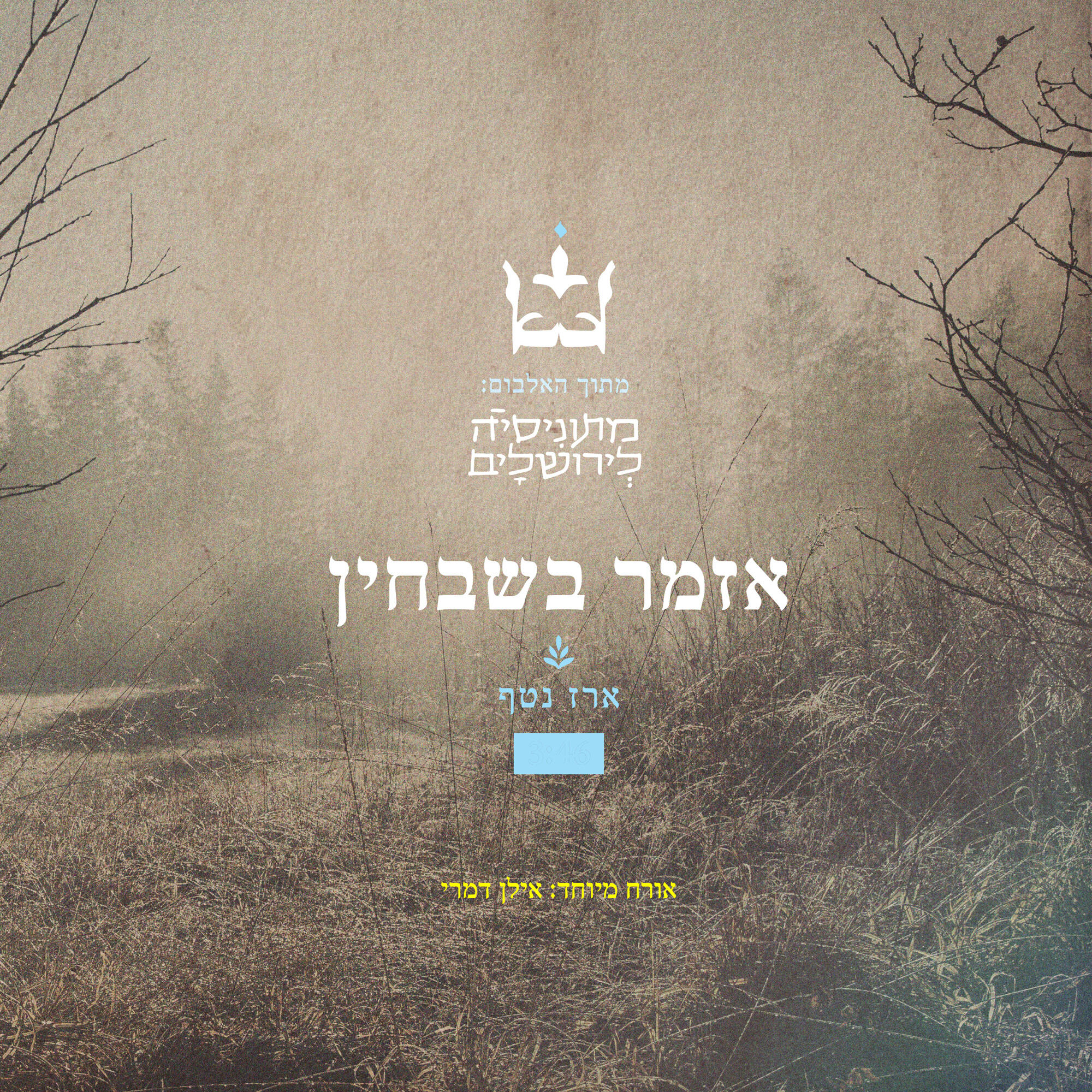 Релиз אזמר בשבחין