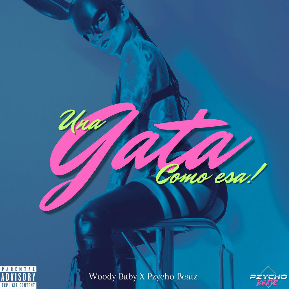 Релиз Una Gata Como Esa
