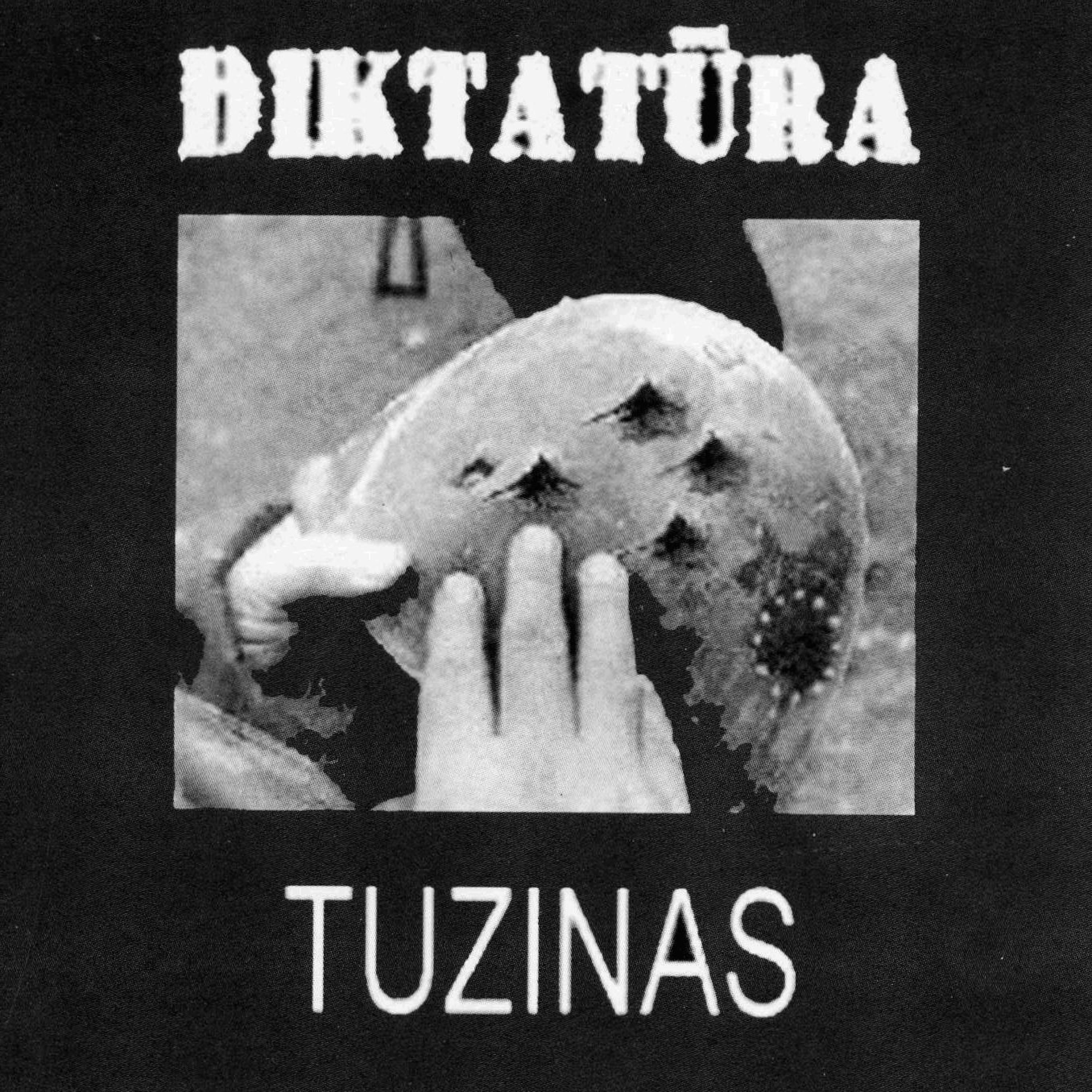 Релиз Tuzinas