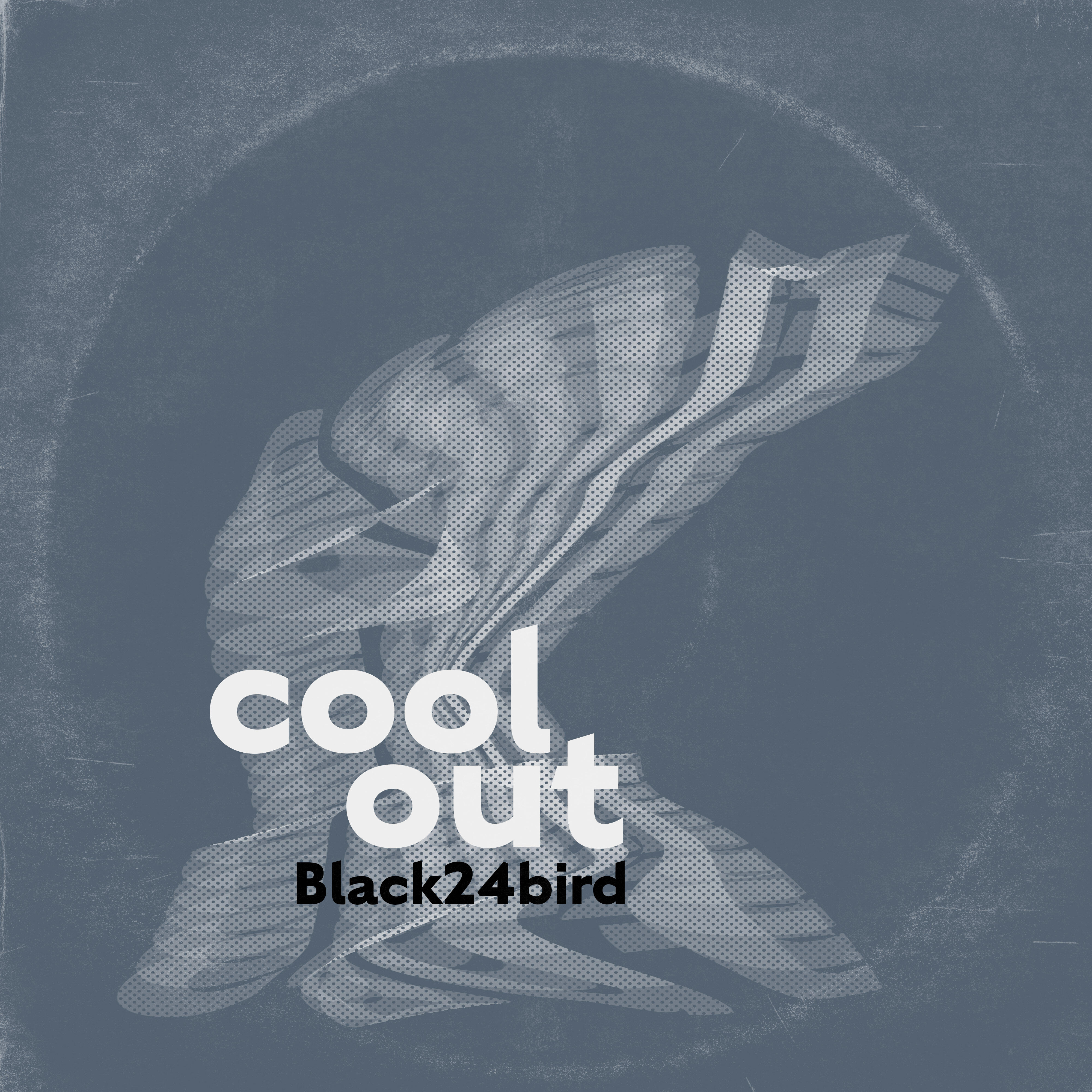 Релиз Cool Out