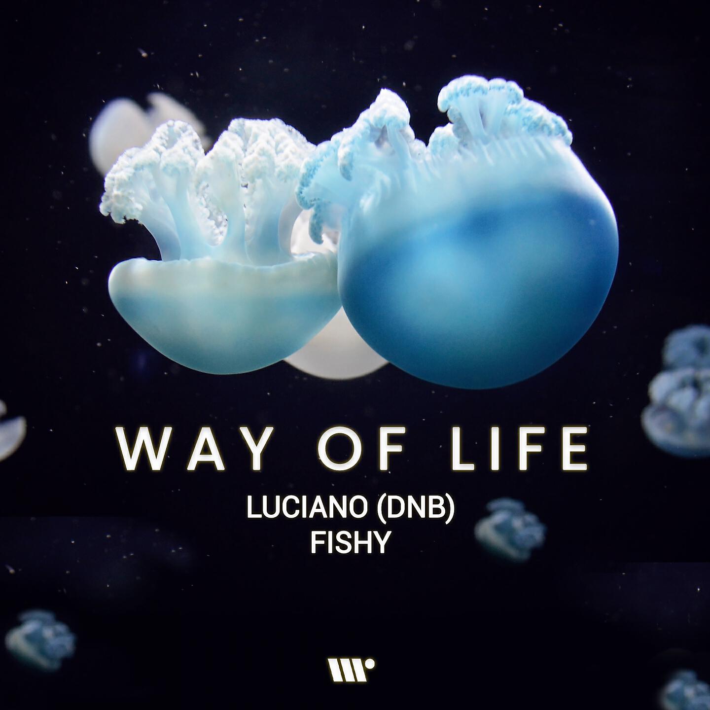 Релиз Way of Life