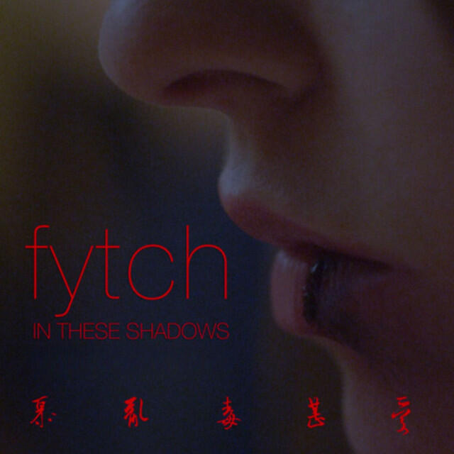 Релиз In these shadows