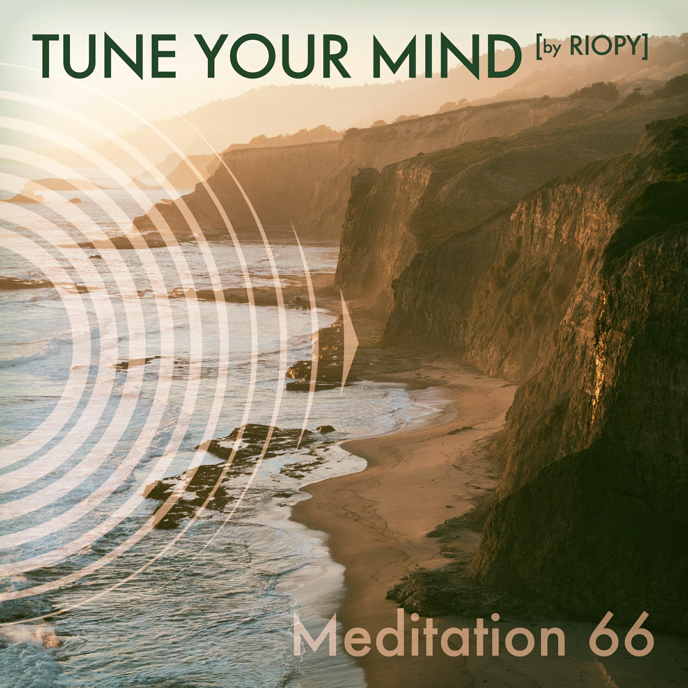 Релиз Meditation 66